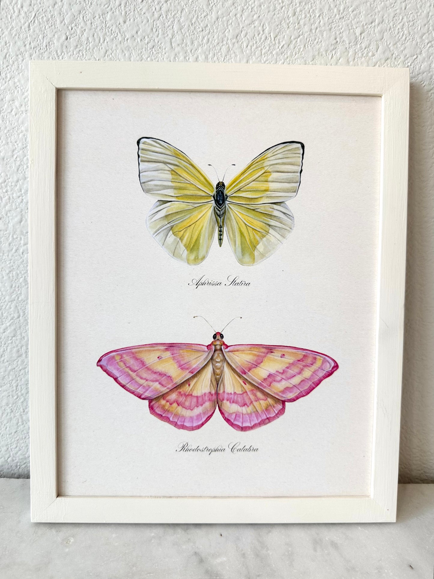 Yellow + Pink Butterflies Print