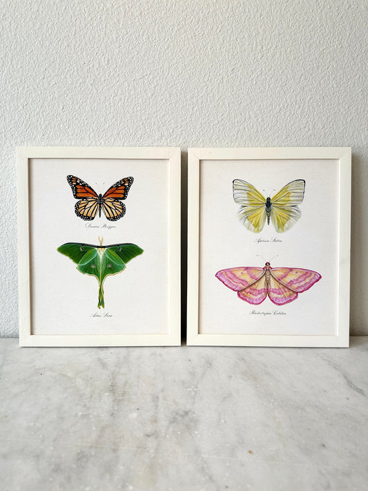 Yellow + Pink Butterflies Print