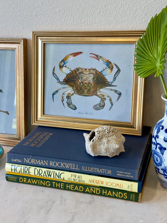 Framed Blue Crab on Blue