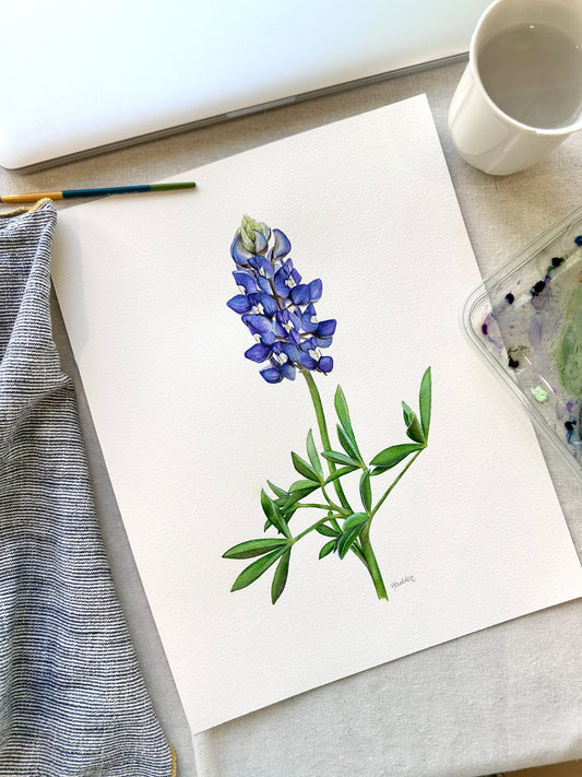 Texas Bluebonnet | Original Painting