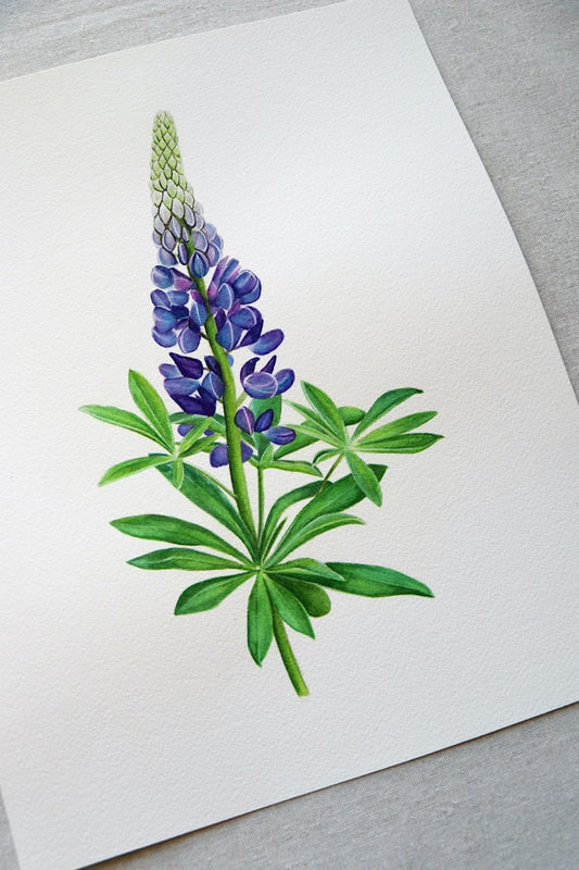 Lupine | Original Painting