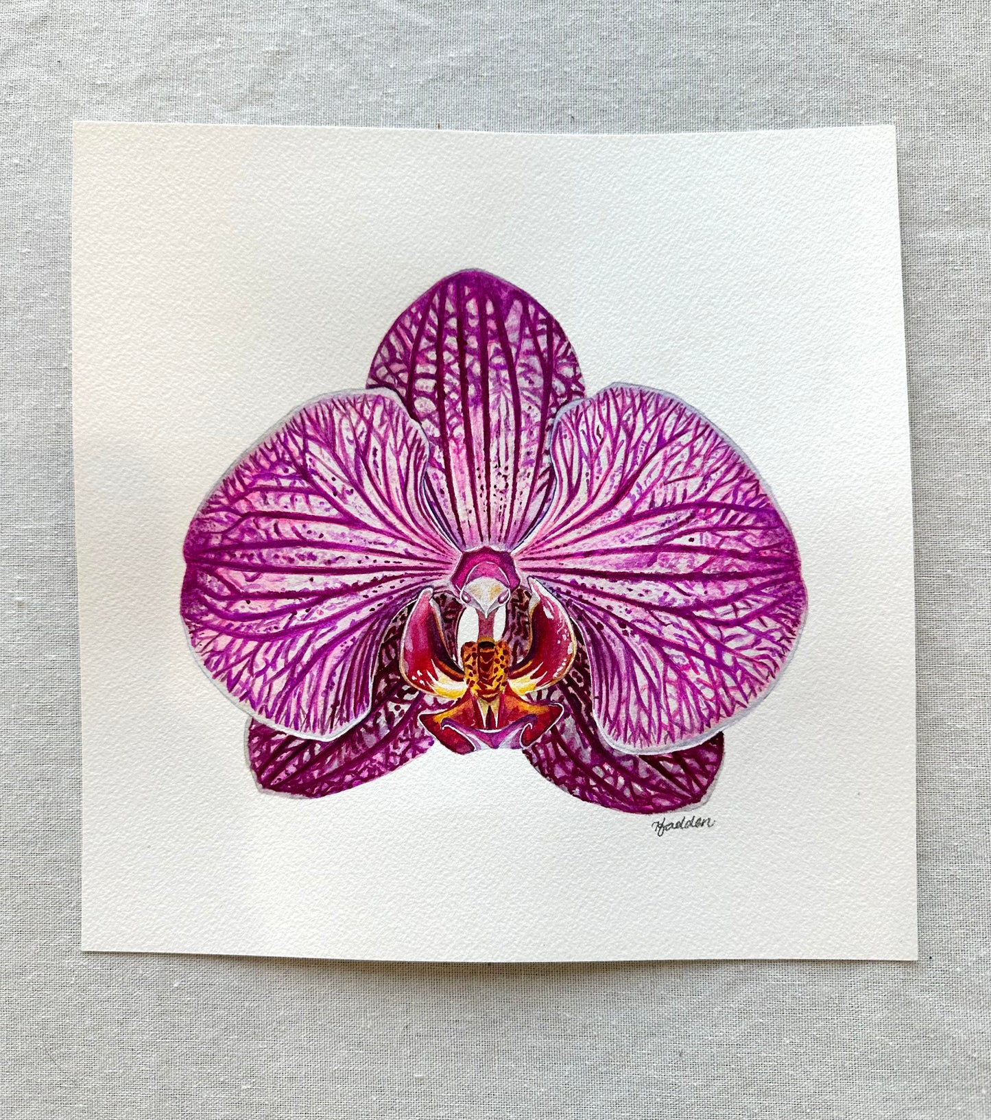 Original Charming Rainbow Orchid