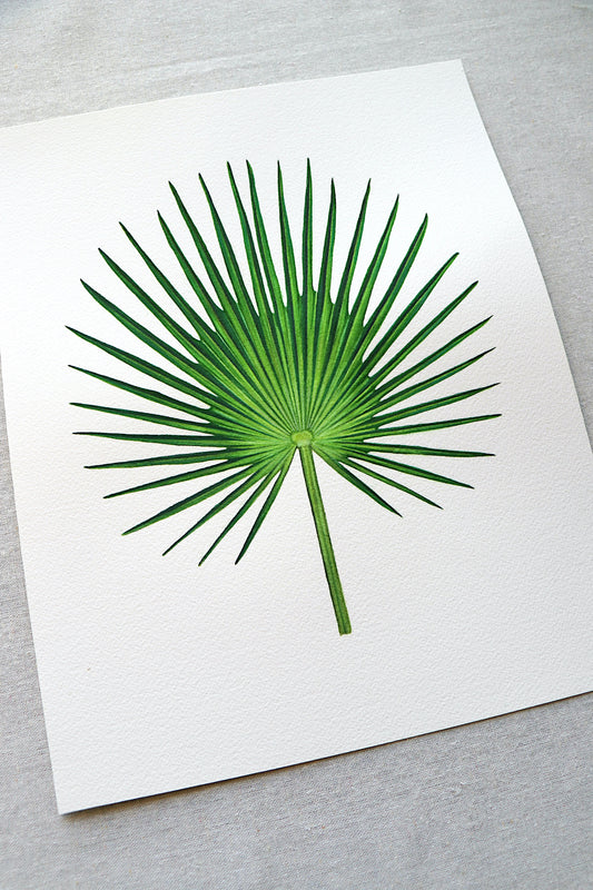 Fan Palm | Original Painting