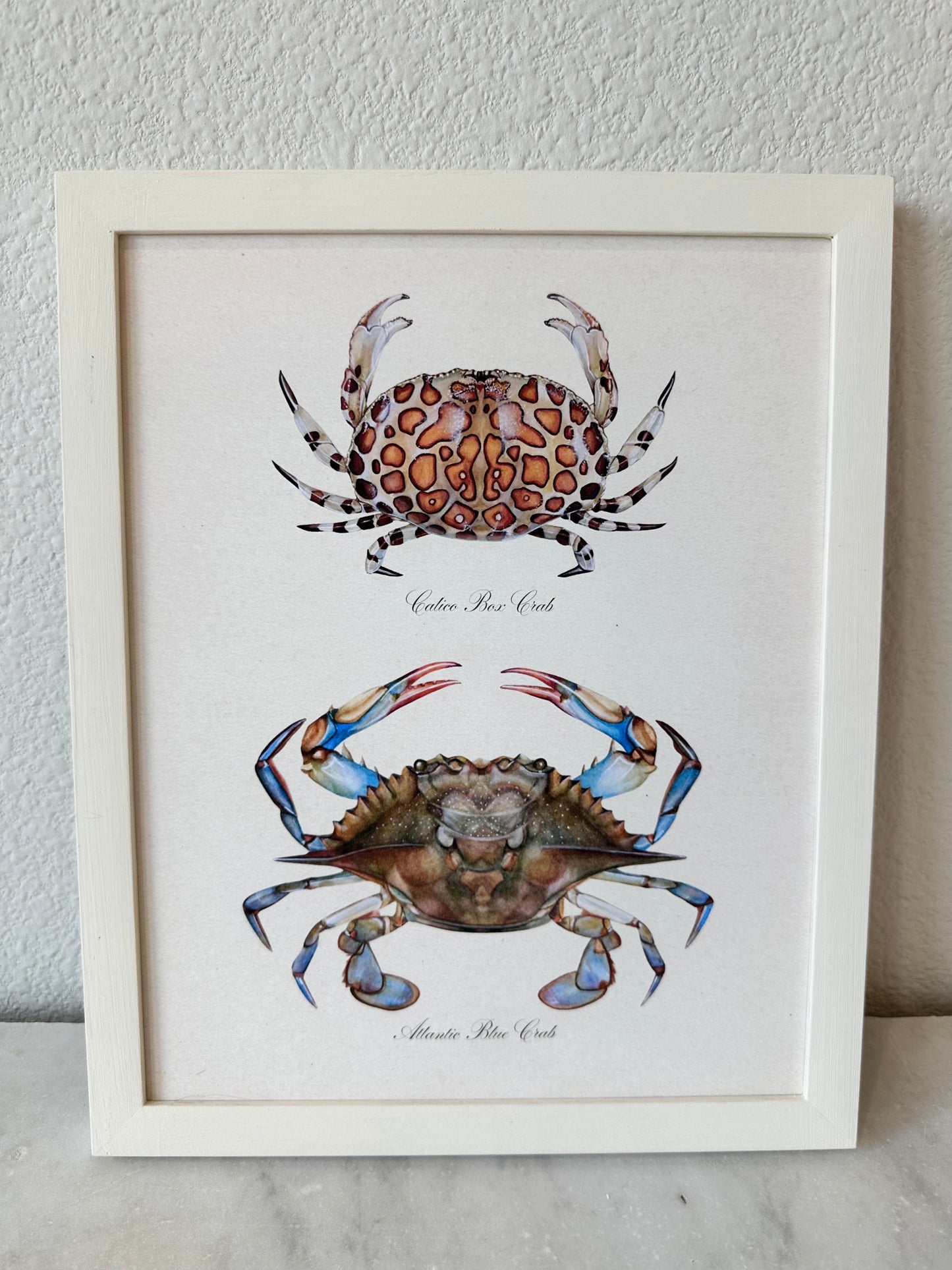 Crab Pair Print