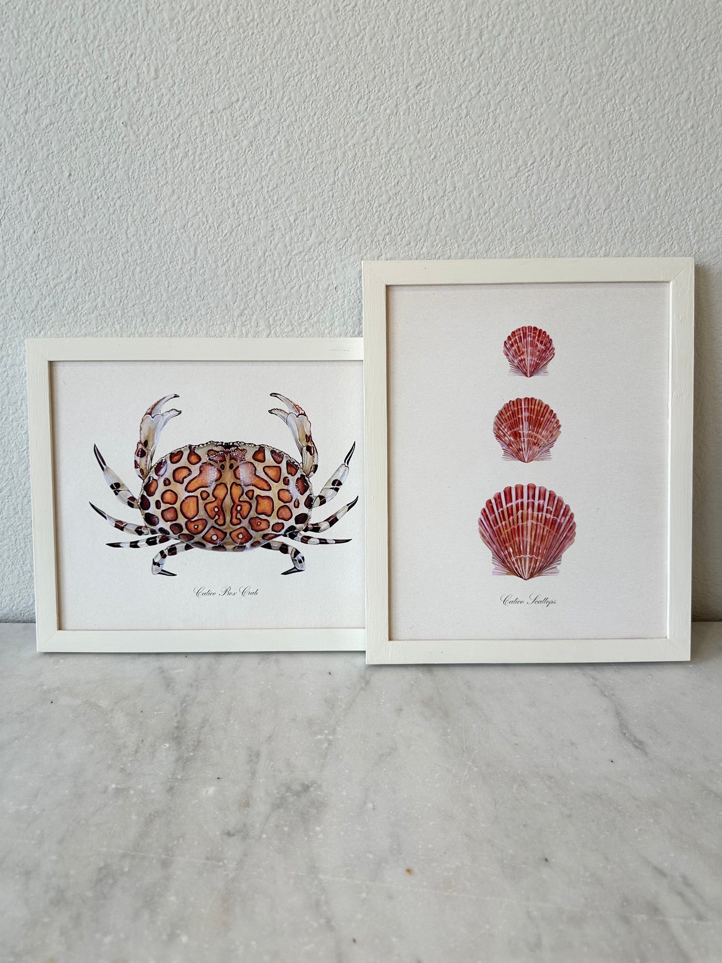 Calico Crab Print