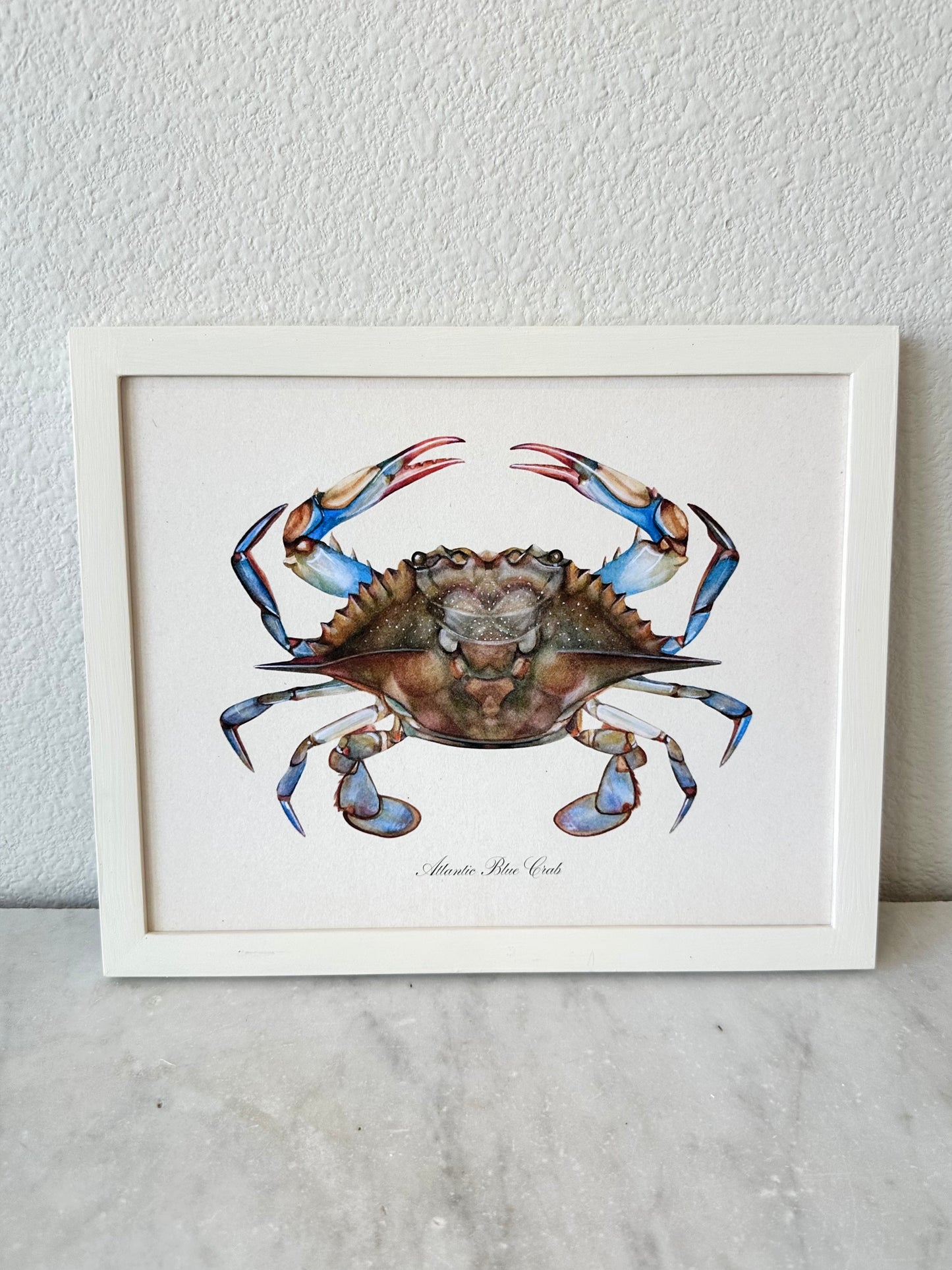 Blue Crab Print