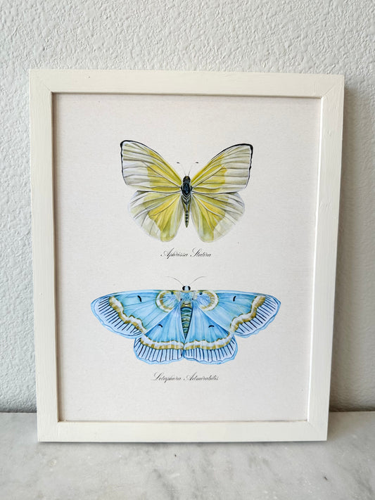 Yellow Butterfly + Blue Moth Print