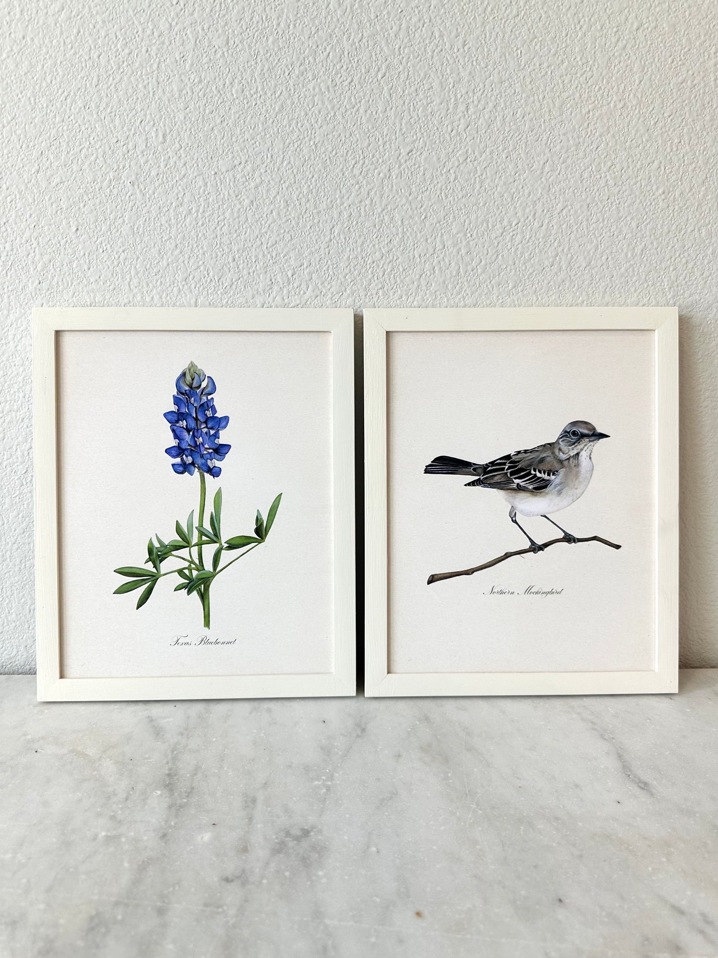 Texas Bluebonnet Vintage Print