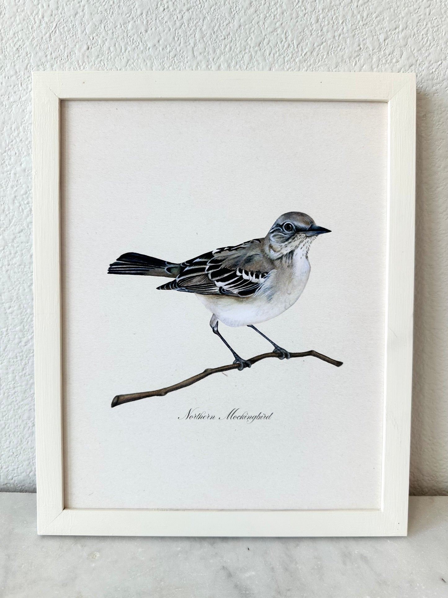 Mockingbird Print - Texas State Bird