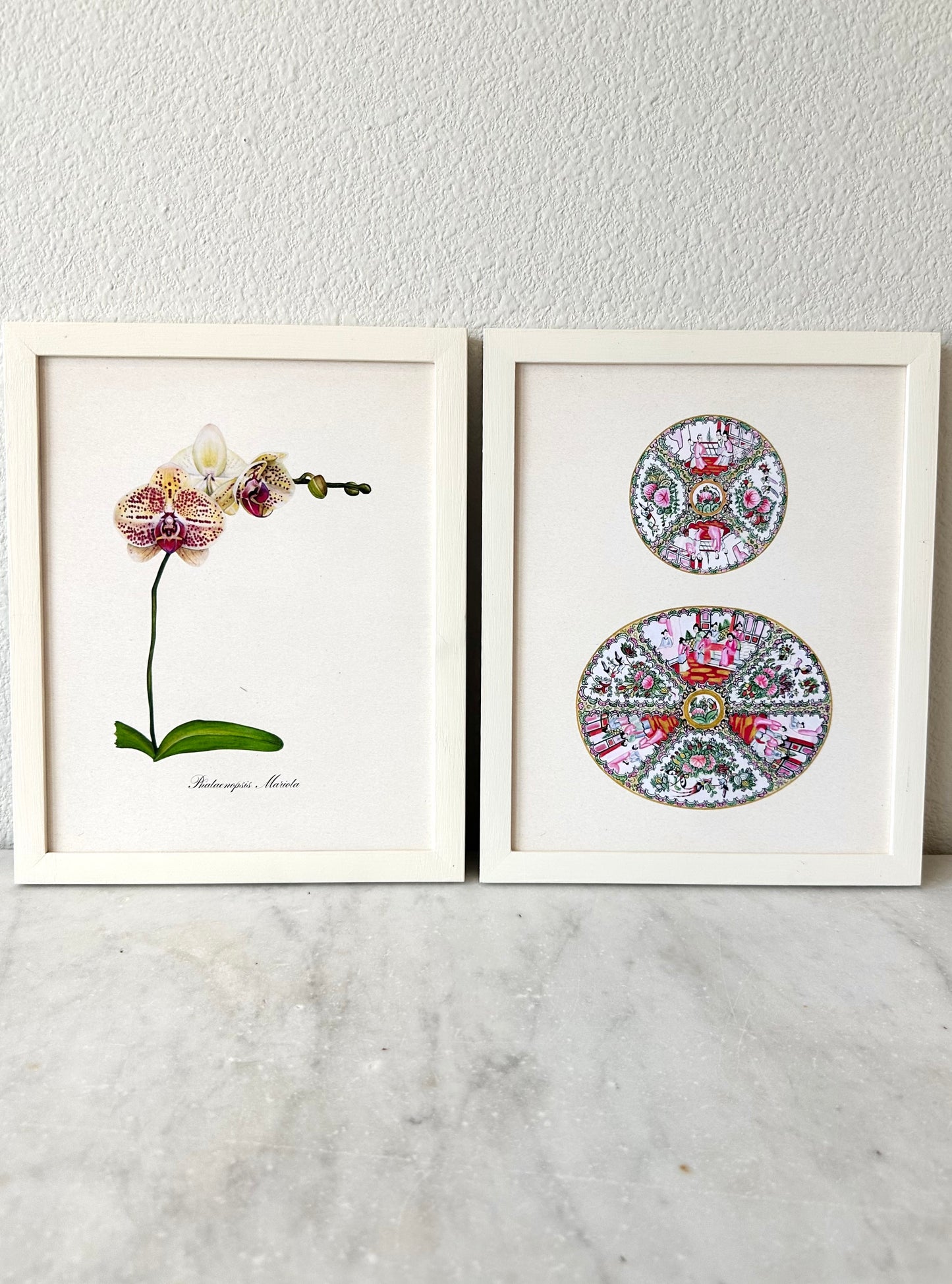 Orchid Plant Print