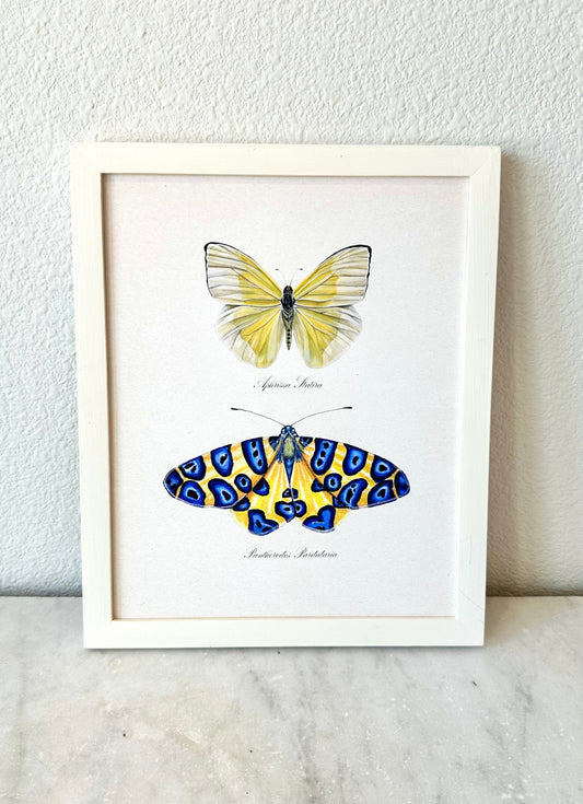 Yellow Butterfly + Blue Spotted Moth Print