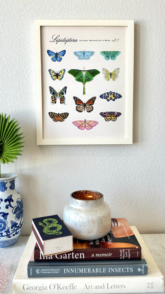 Butterfly + Moth Taxonomy Print