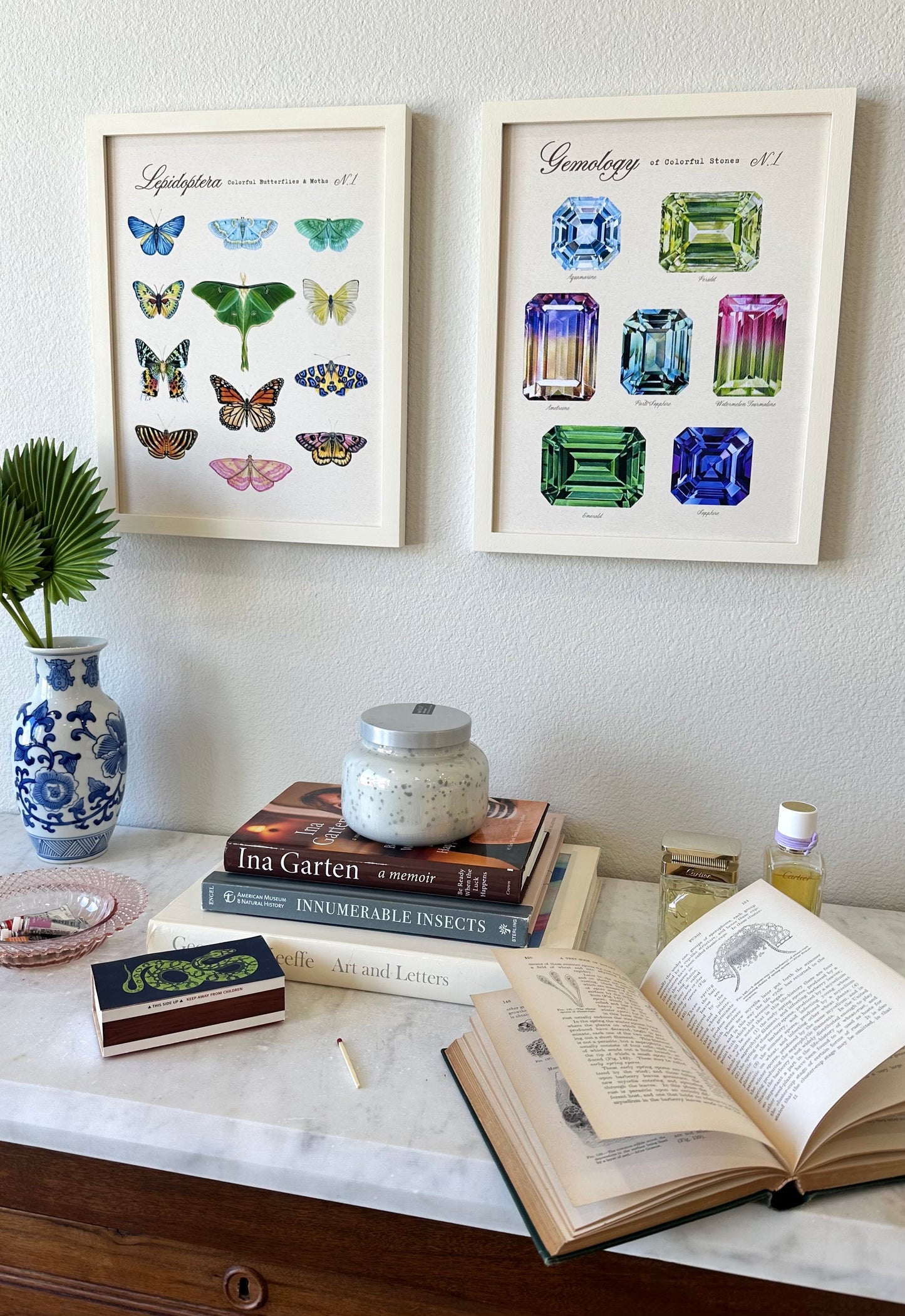 Butterfly + Moth Taxonomy Print