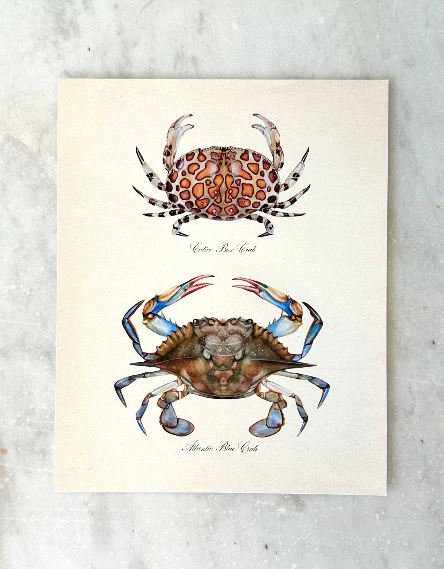 Crab Pair Print