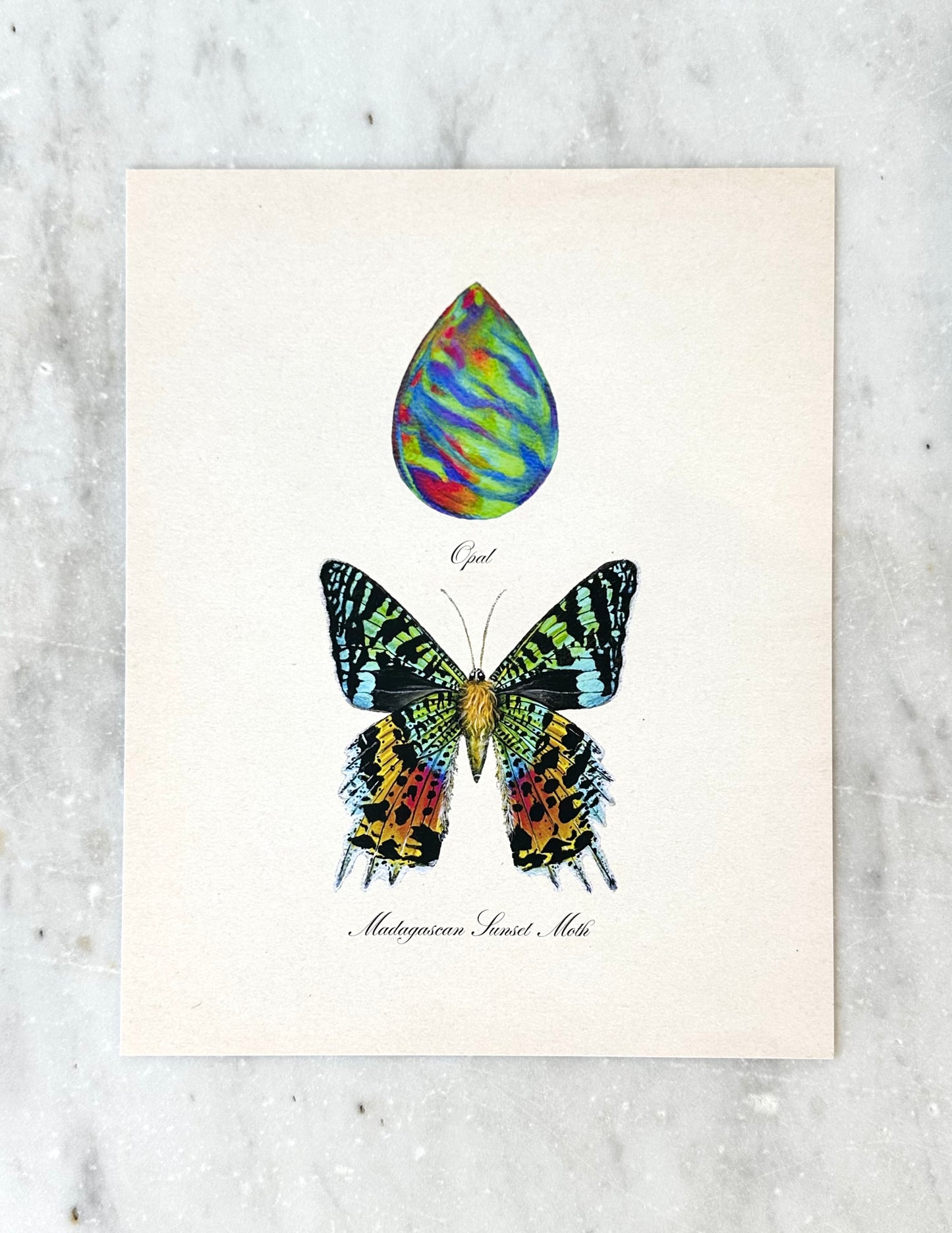 Opal + Sunset Moth Print