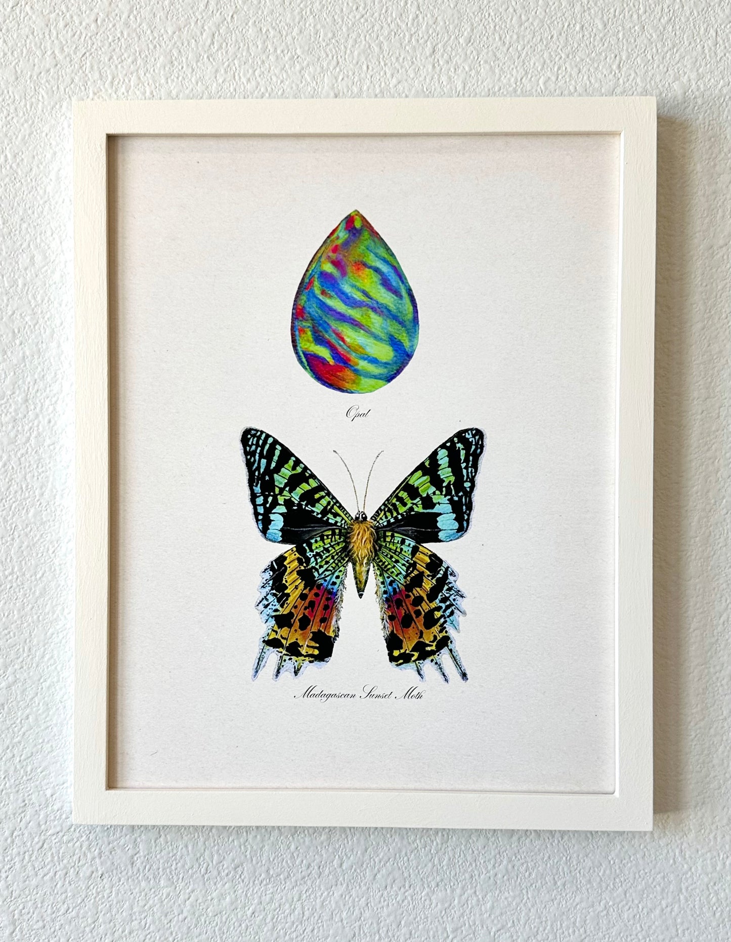 Opal + Sunset Moth Print