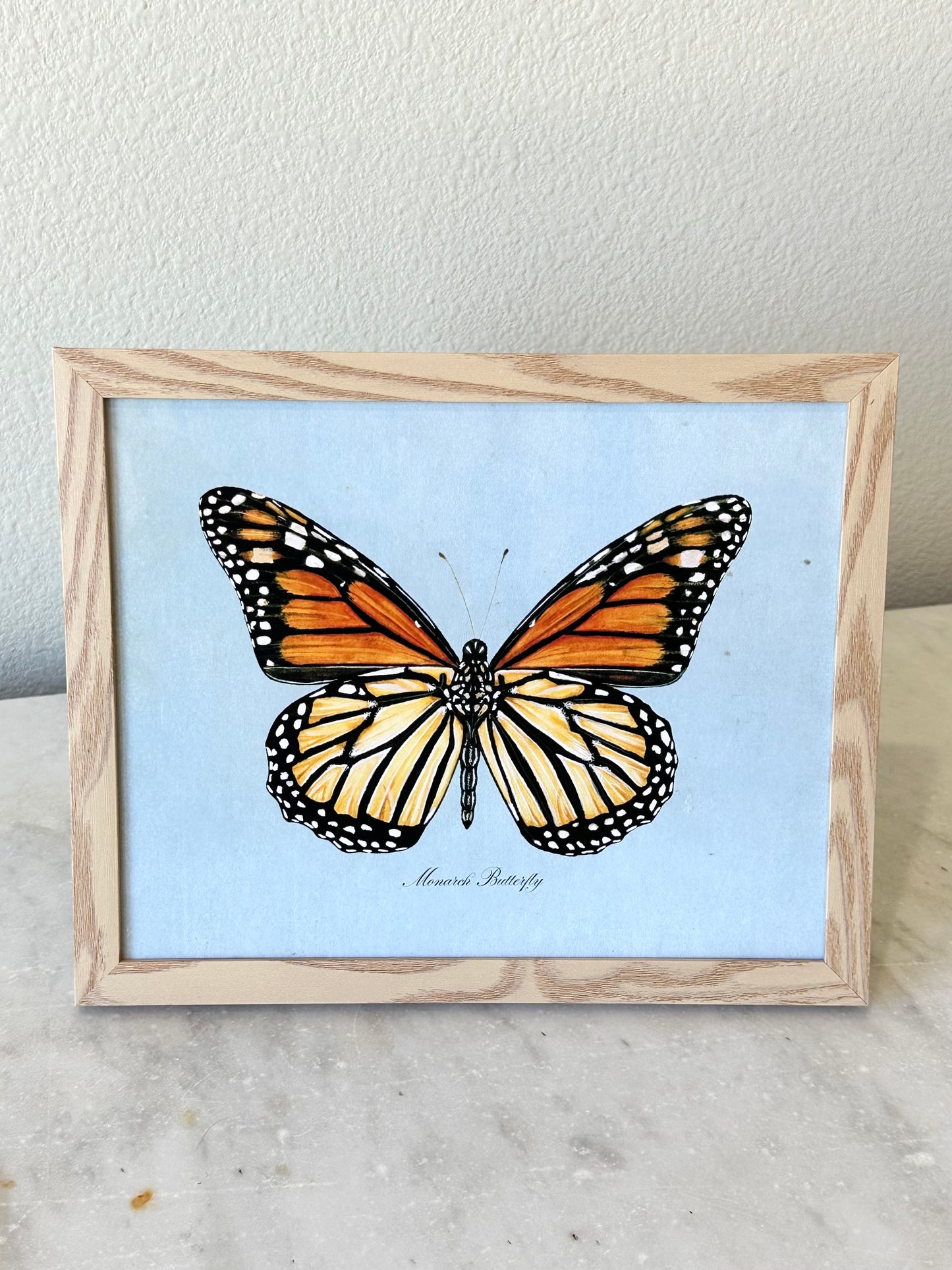 Monarch Butterfly on Blue Print