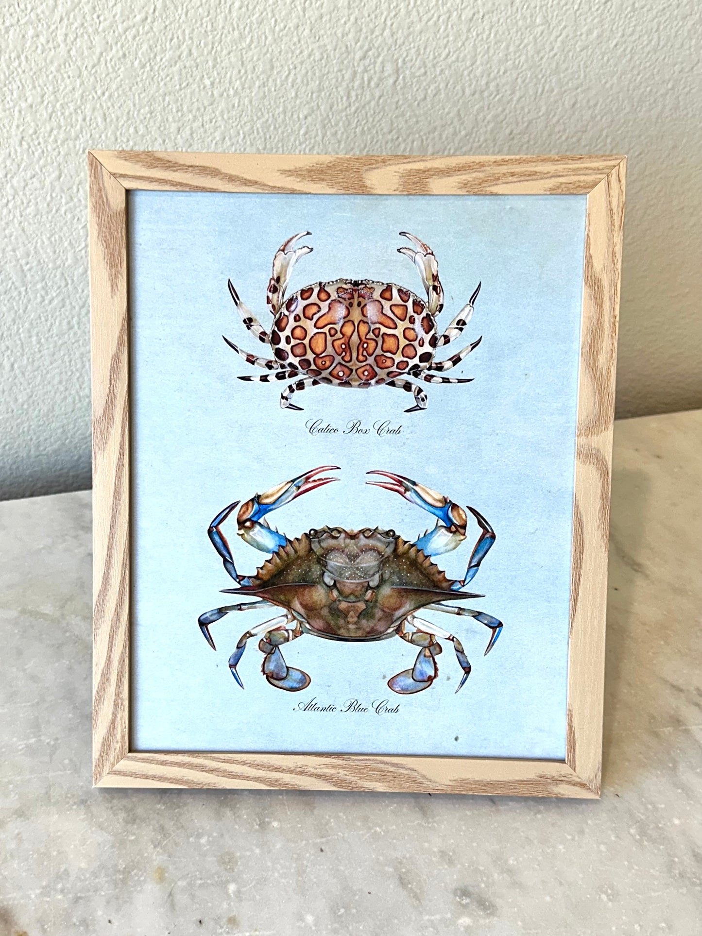 Crab Pair on Blue Print