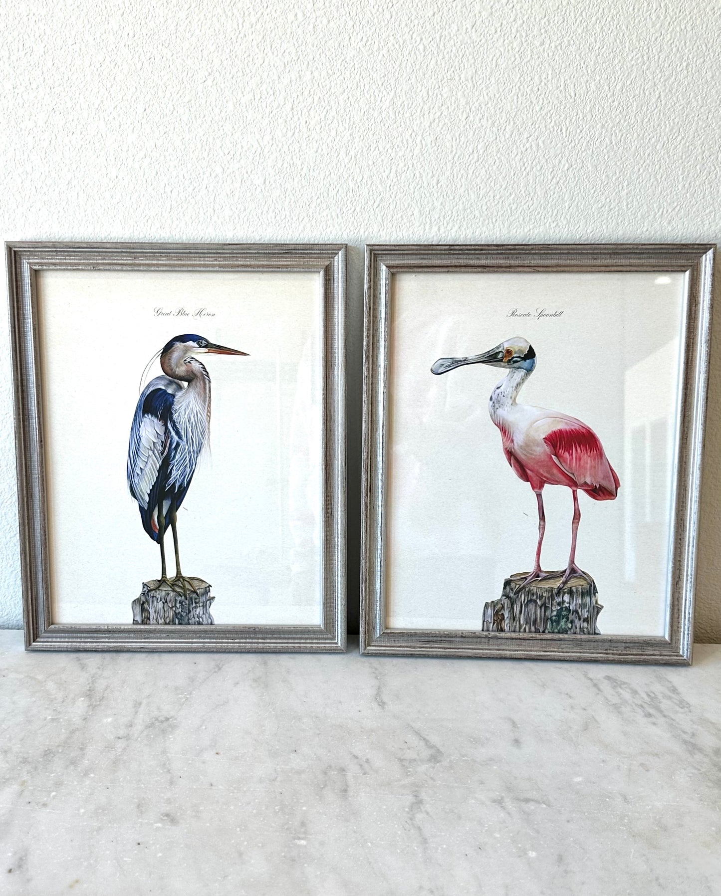 Roseate Spoonbill Print