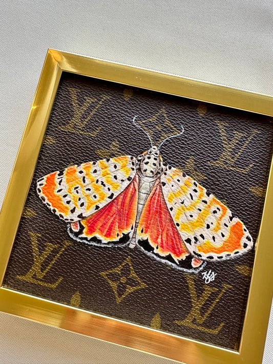 Ornate Bella Moth Study 2022