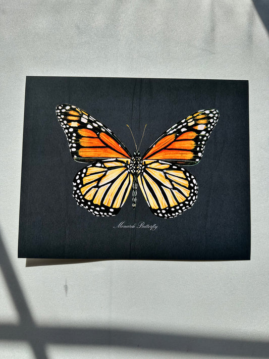 Monarch Butterfly Midnight Print