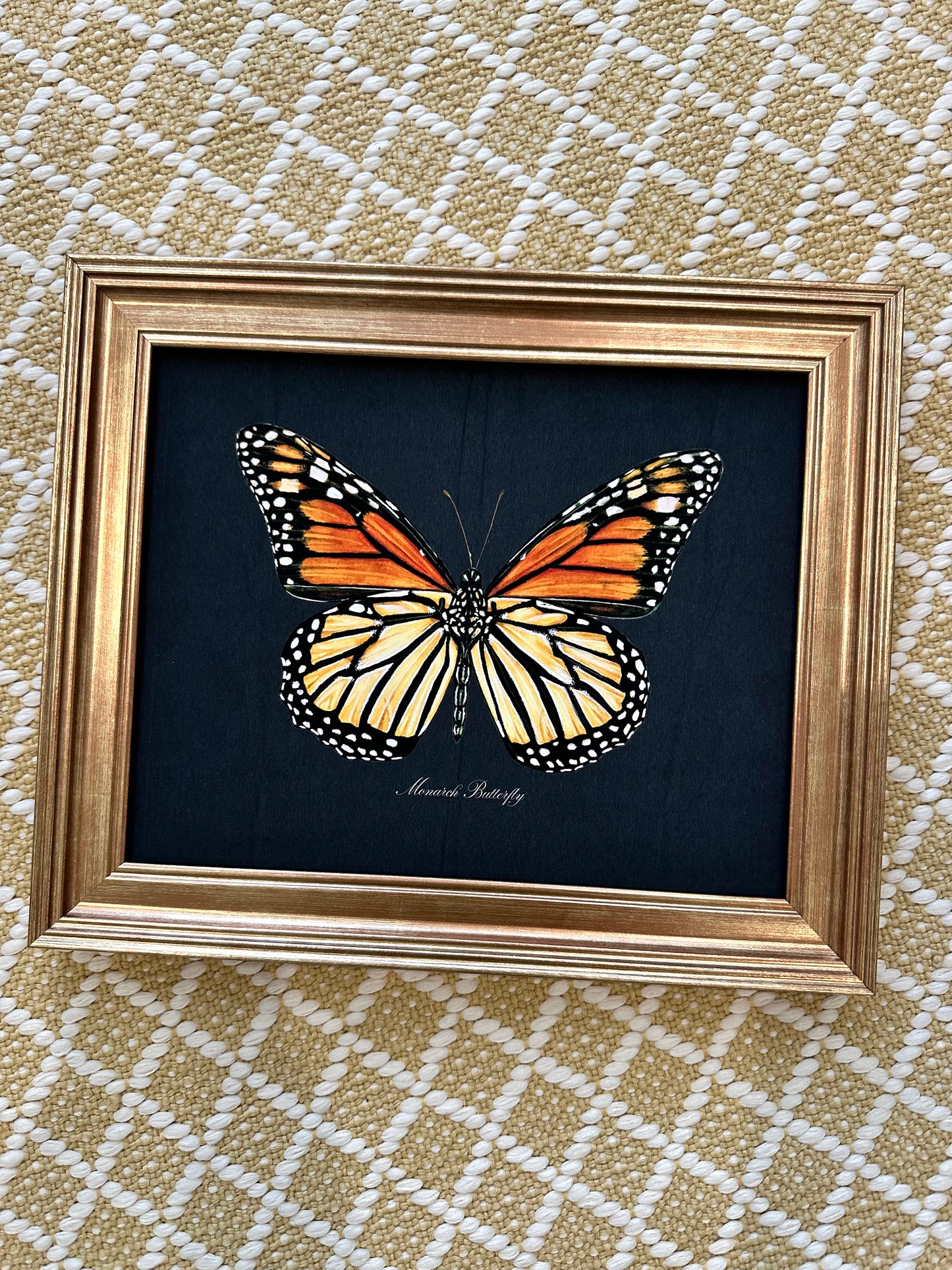 Framed Monarch Butterfly Midnight Print
