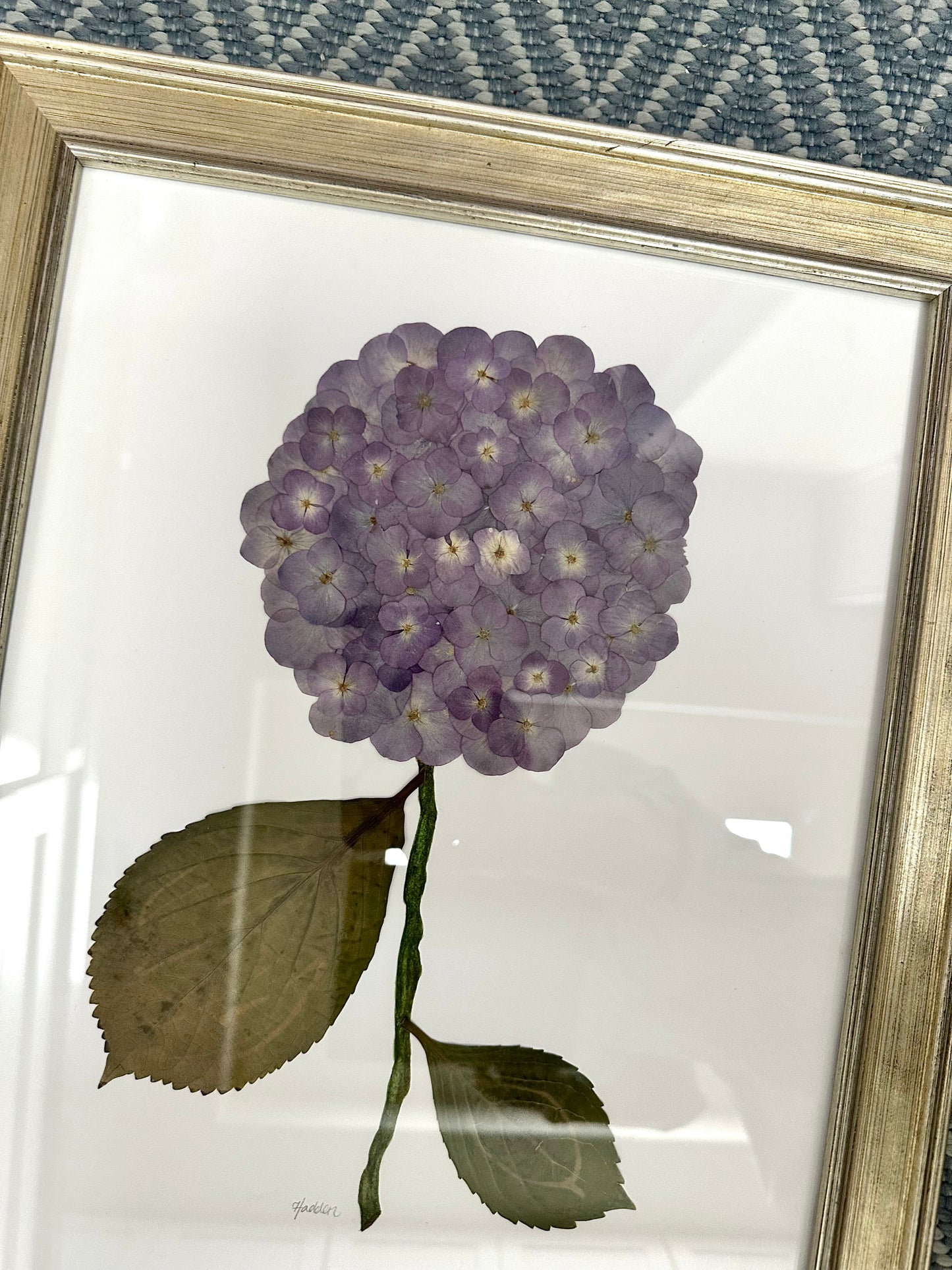 Pressed Purple Hydrangea Framed