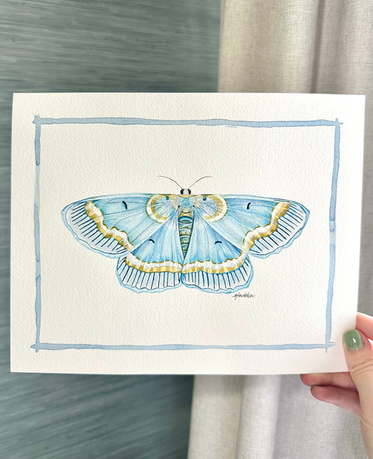 Blue Moth | Original Painting