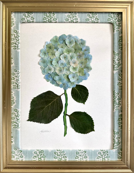 Original Pressed Hydrangea IV/VII