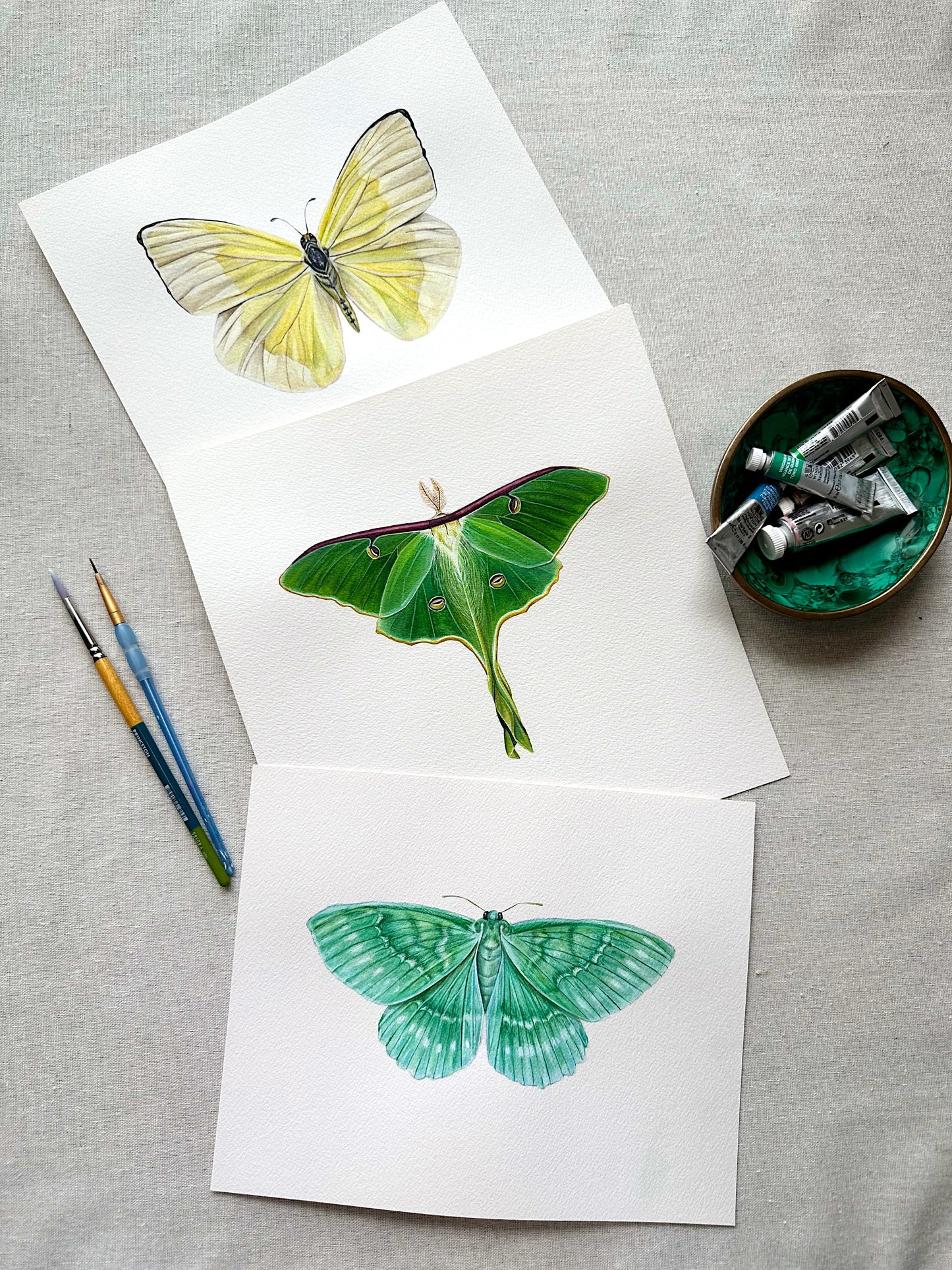 Luna Moth | Original Painting