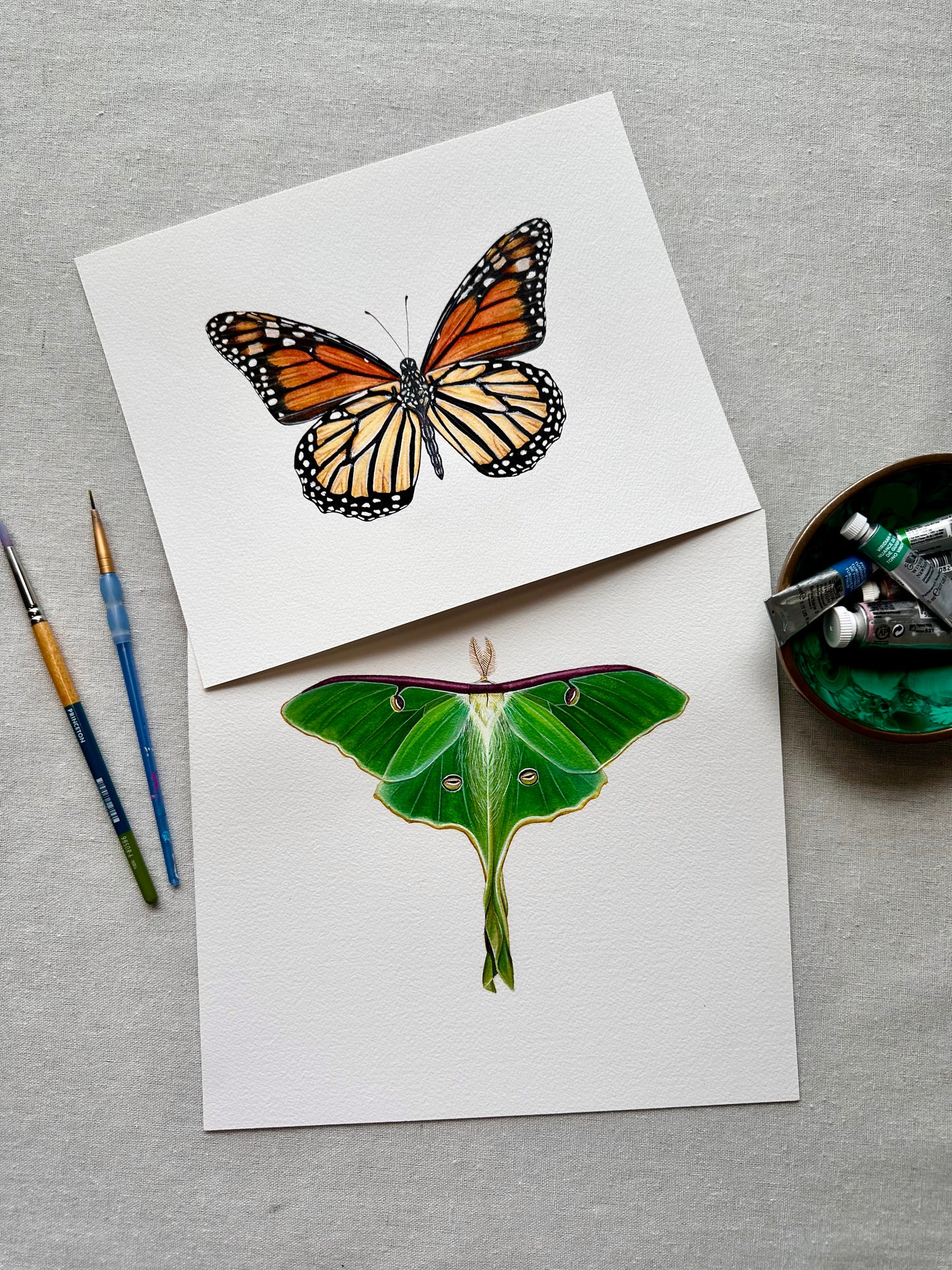Monarch Butterfly | Original Painting