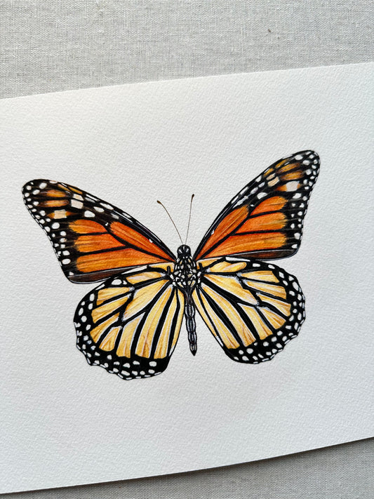 Monarch Butterfly | Original Painting