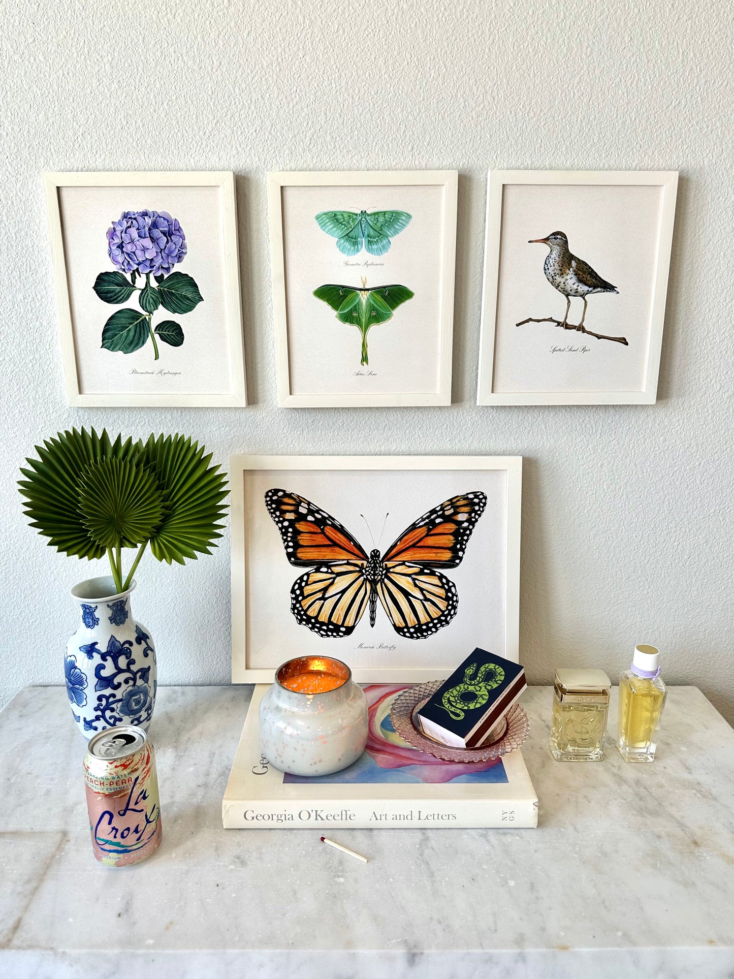 Sandpiper Bird Print