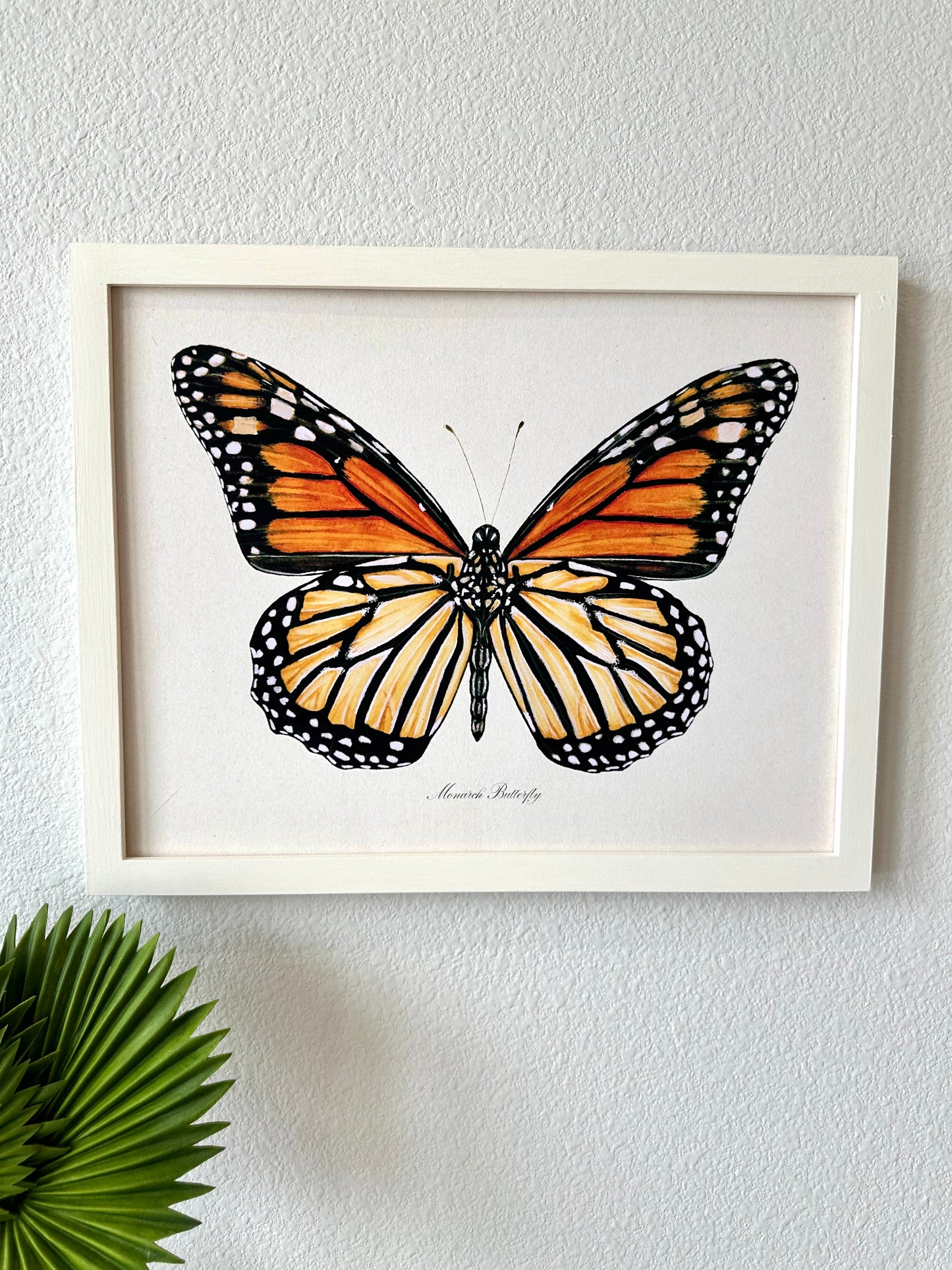 Monarch Butterfly Print