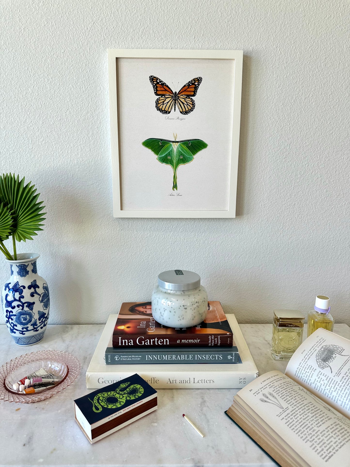 Monarch Butterfly + Luna Moth Print