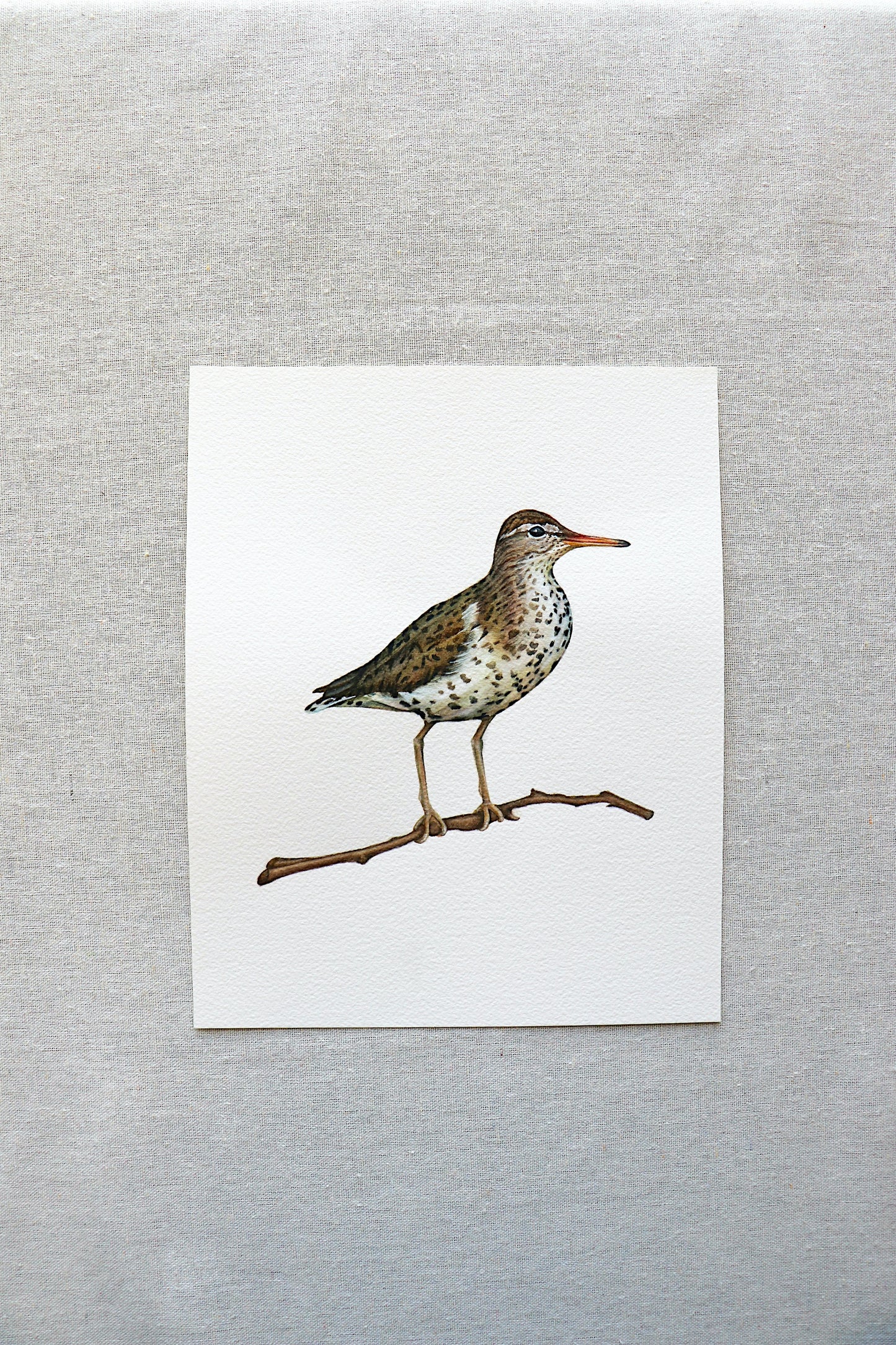 Sand Piper | Original Painting