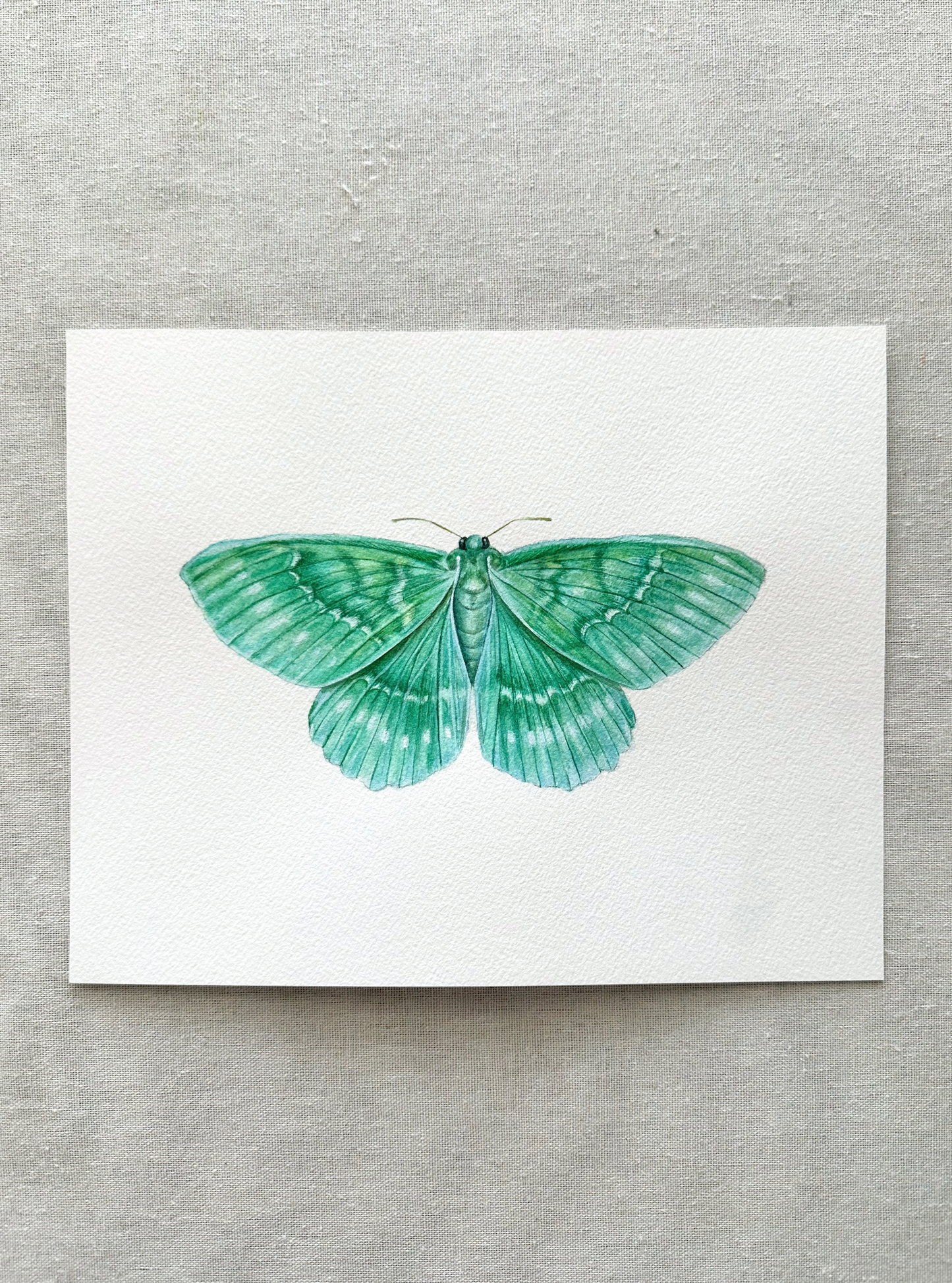 Emerald Moth | Original Painting