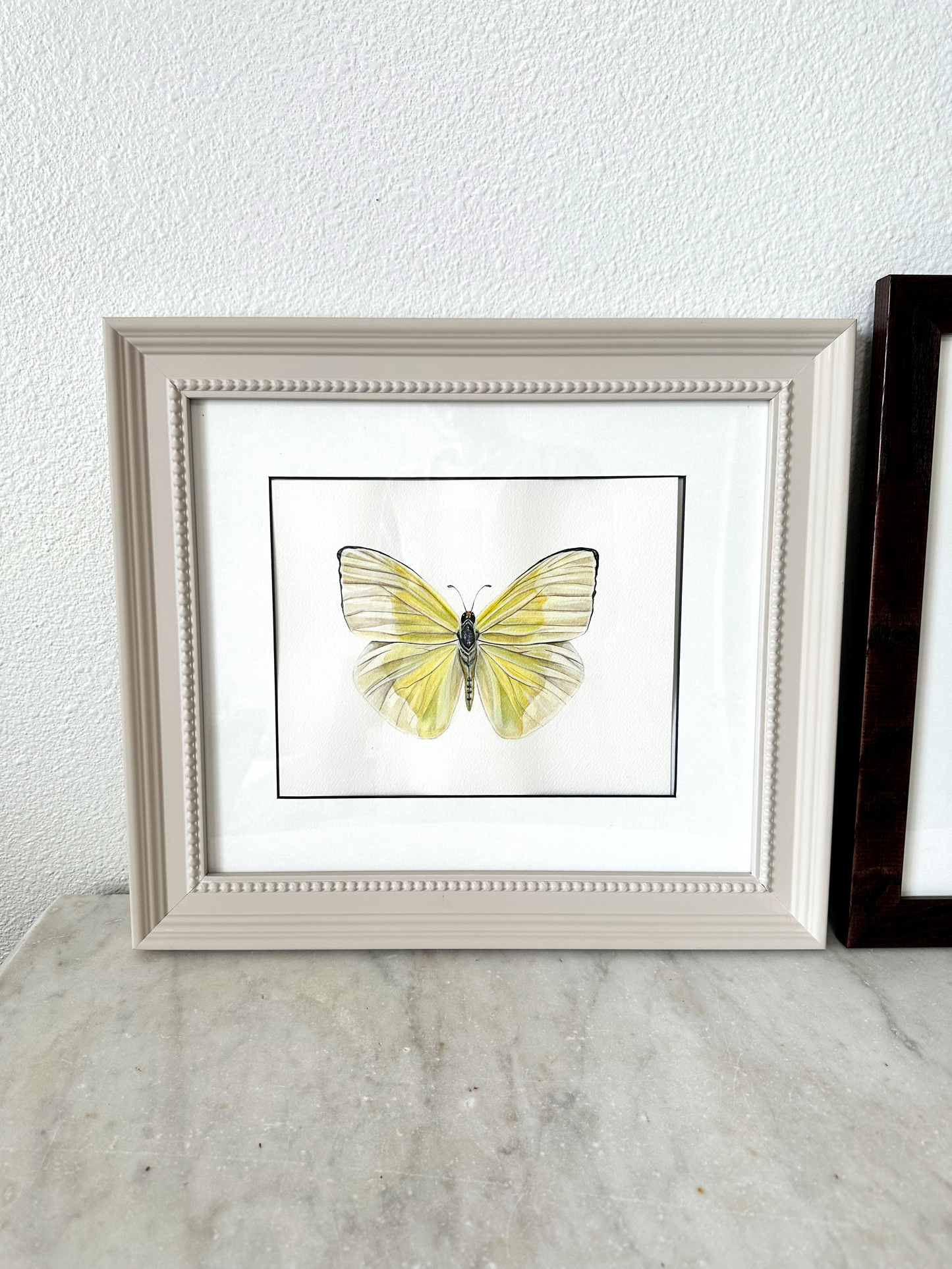 Yellow Sulphur Butterfly | Original Painting