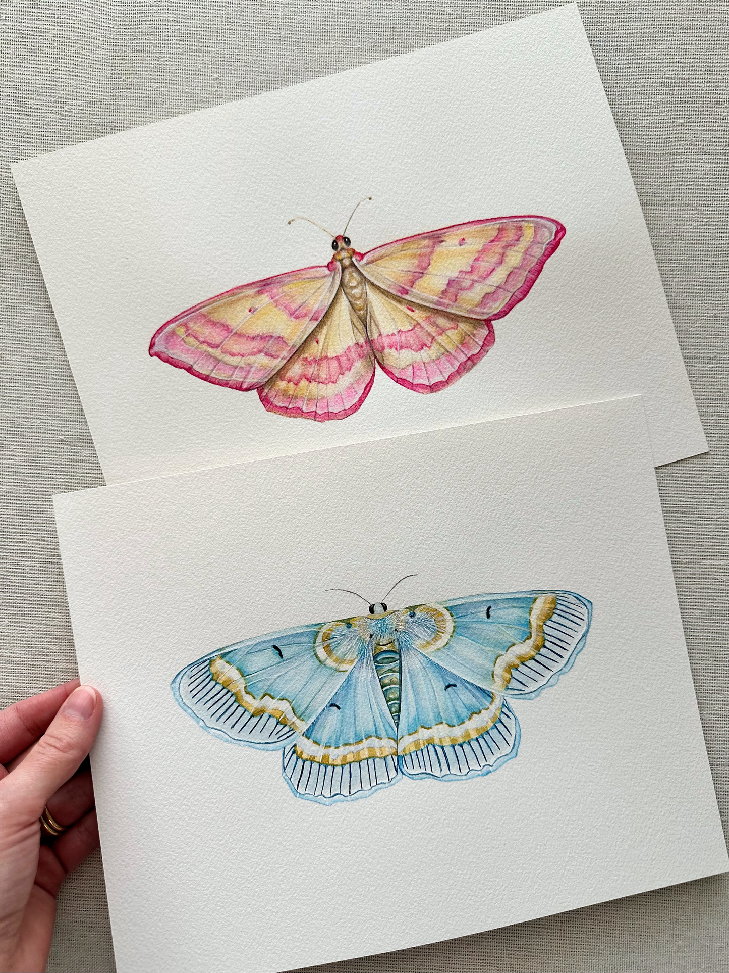 Baby Blue Moth | Original Painting