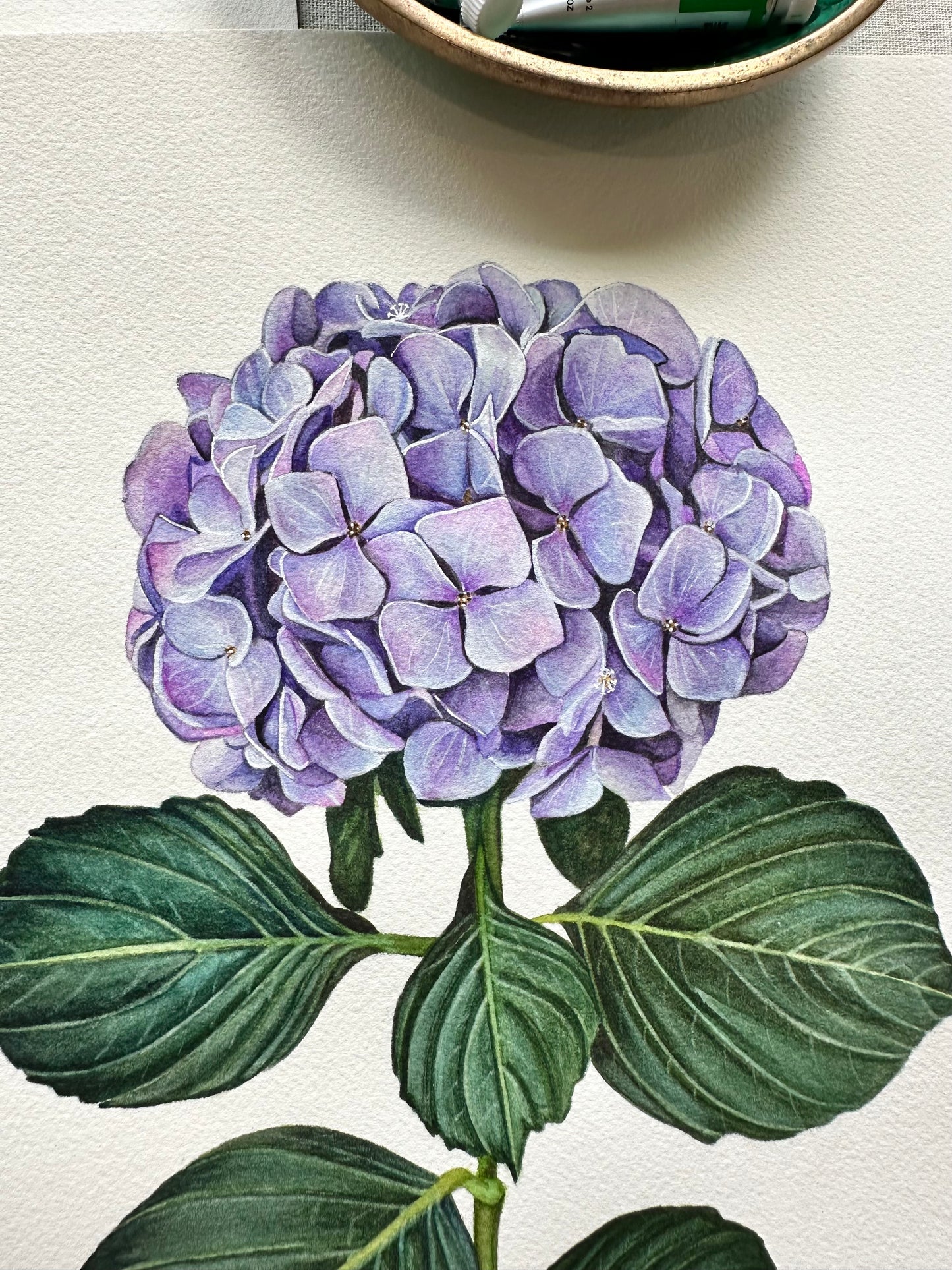 Purple Hydrangea | Original Painting