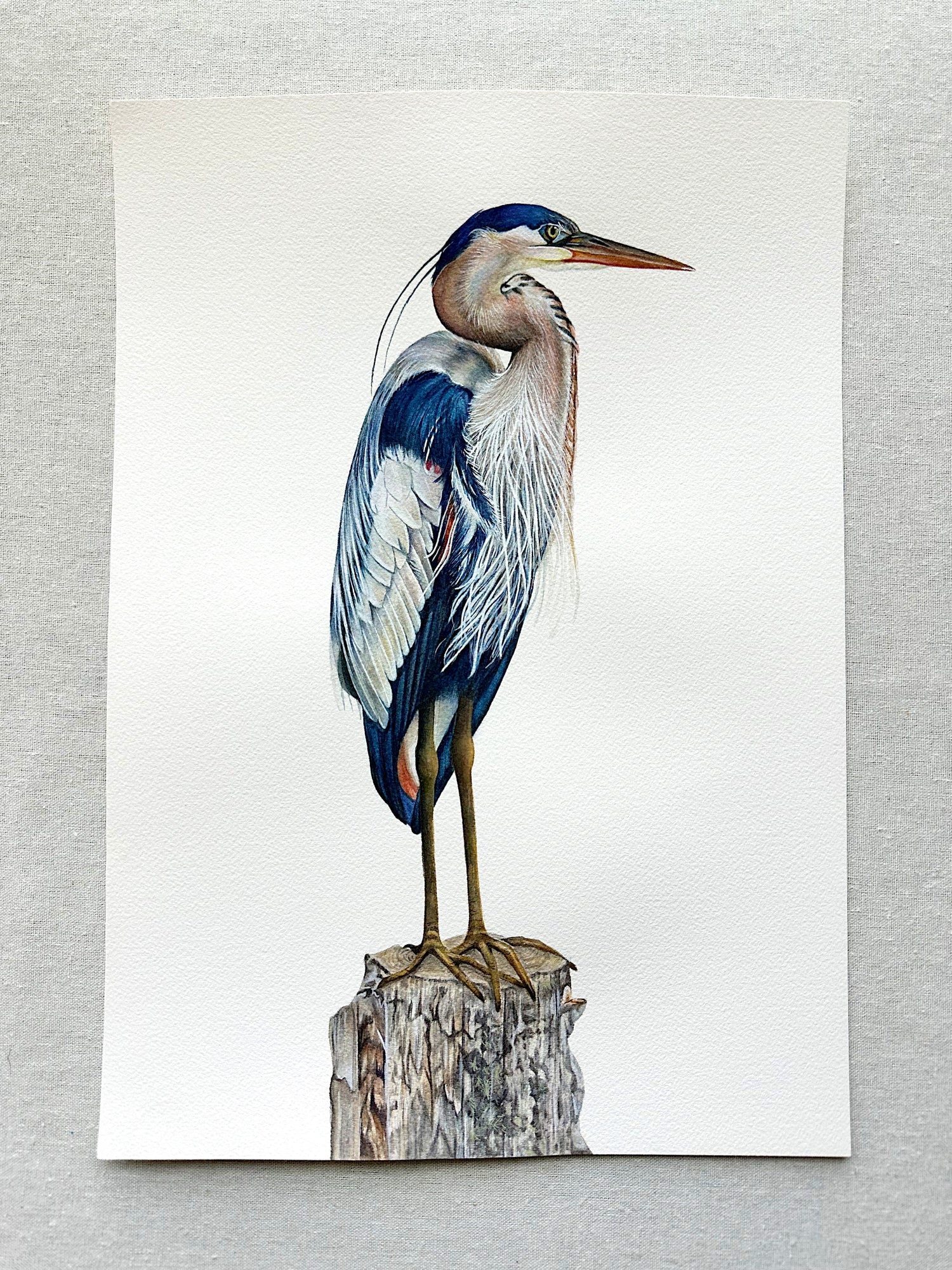 Original Paintings