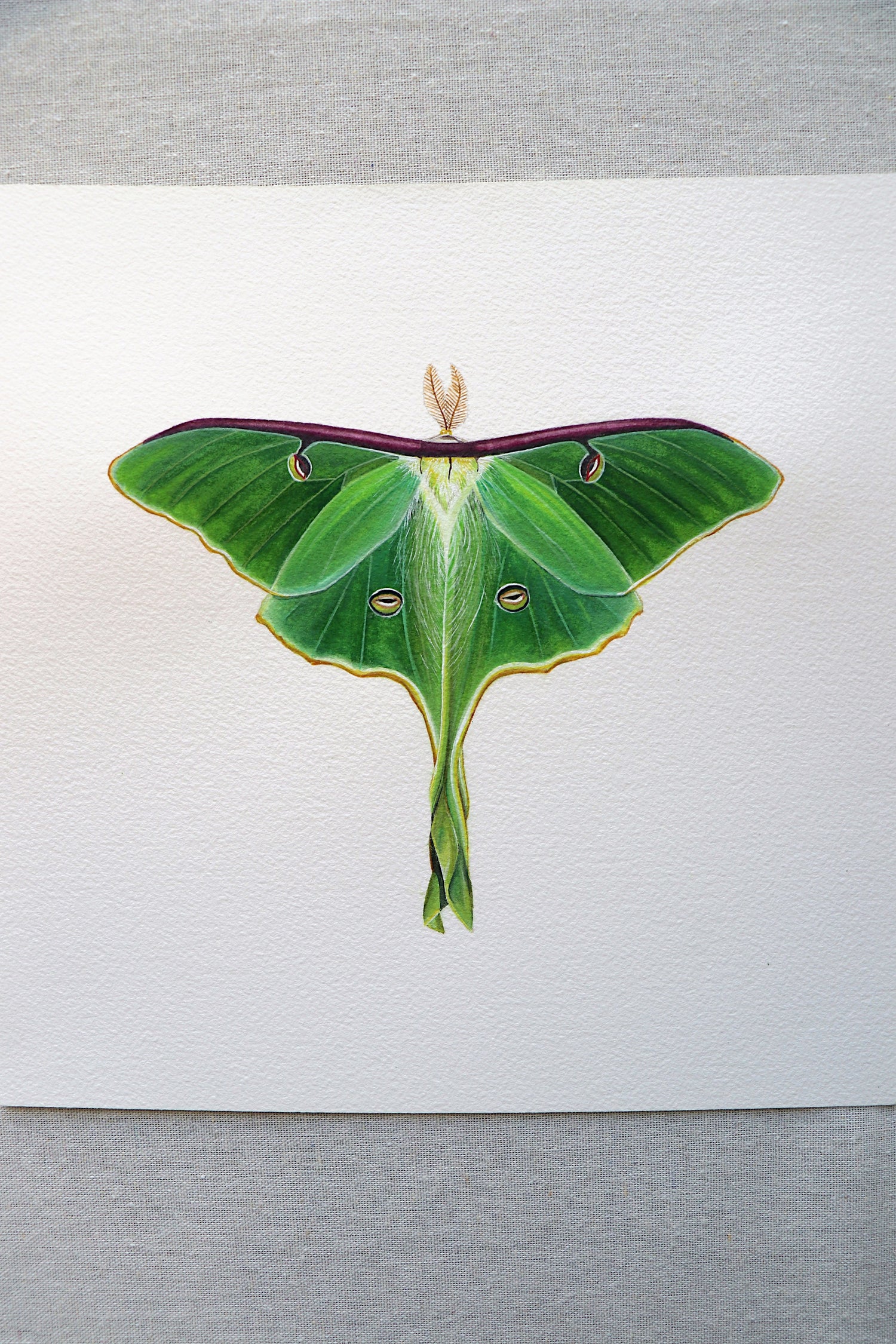 Green Art