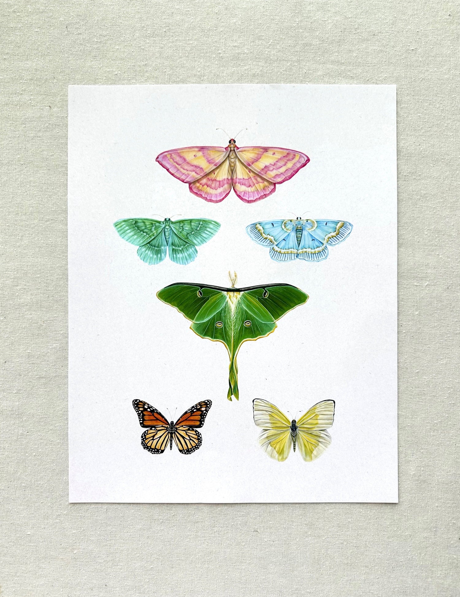 Prints