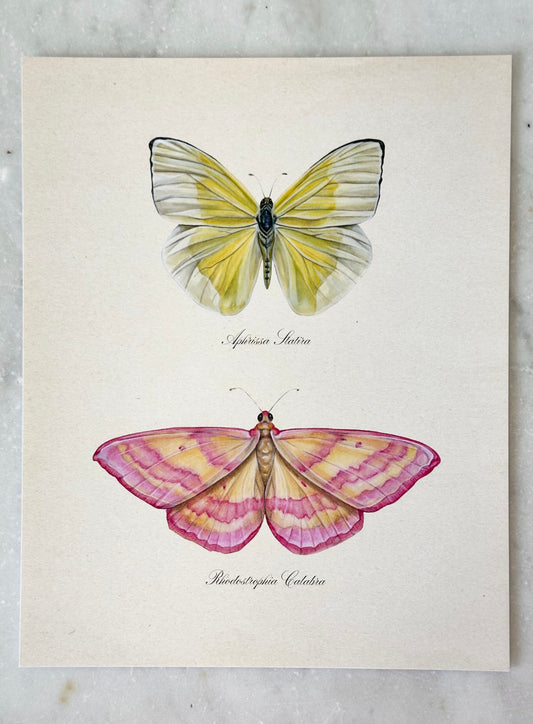 Yellow + Pink Butterflies Print