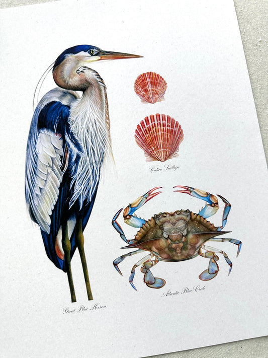 Beach Life Collage Print