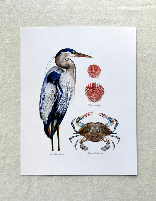 Beach Life Collage Print