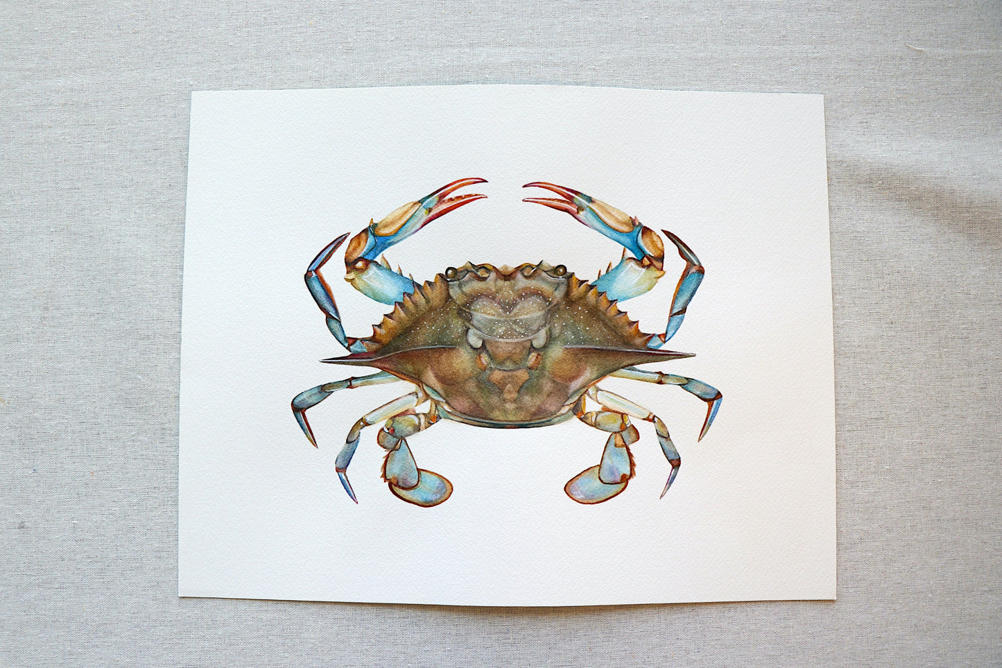 Blue Crab | Original Painting