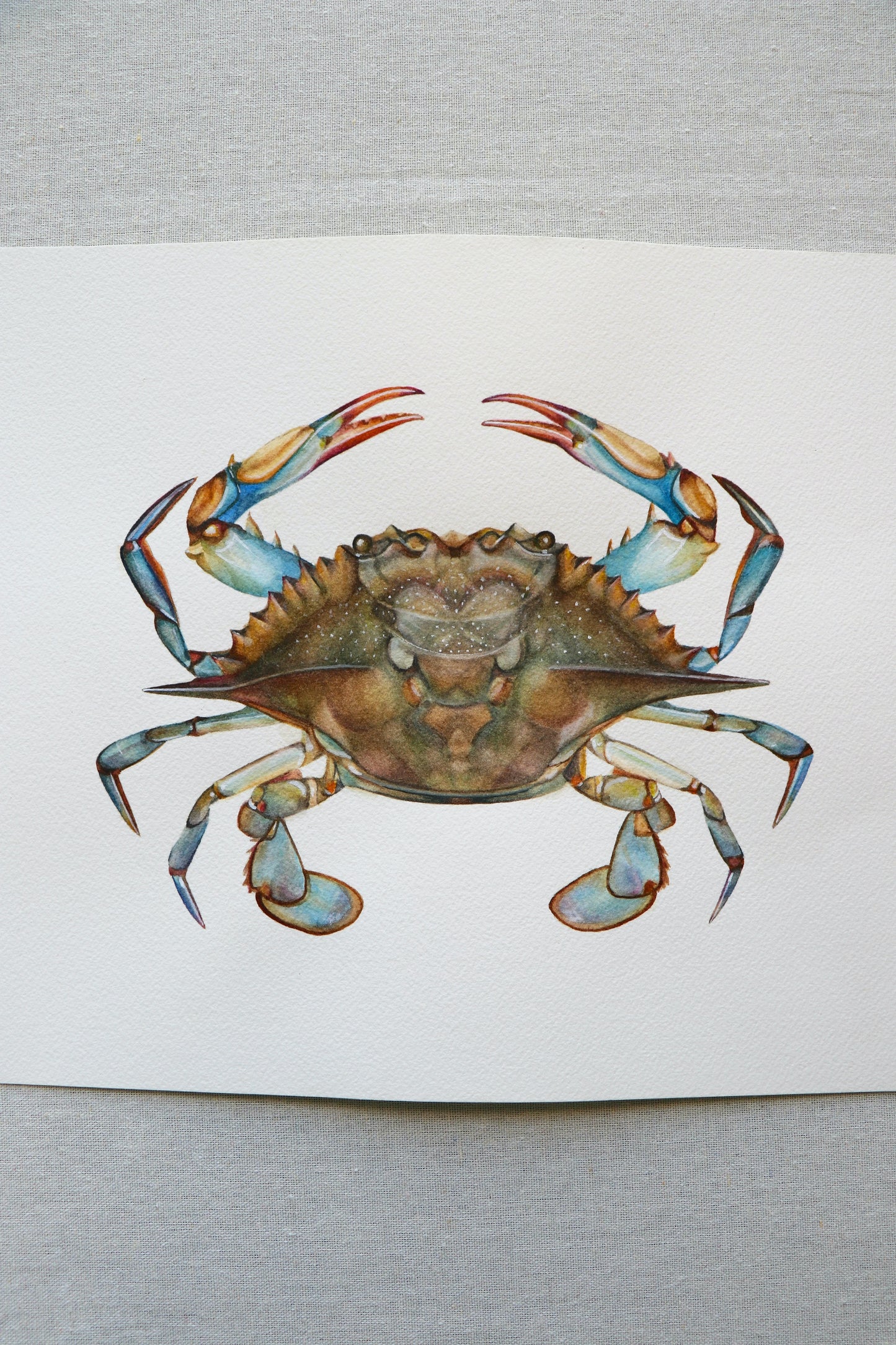 Blue Crab | Original Painting