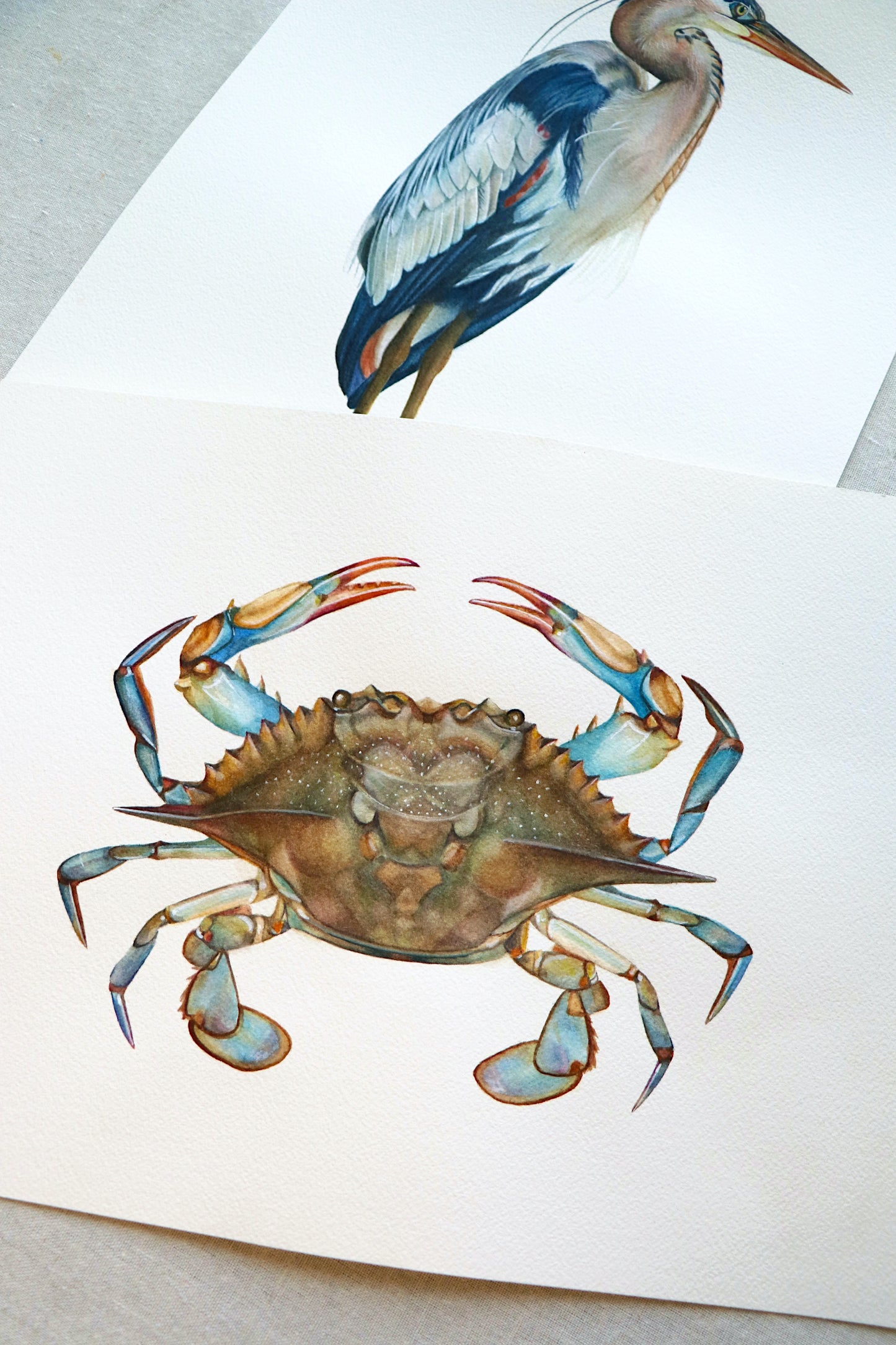 Blue Crab | Original Painting