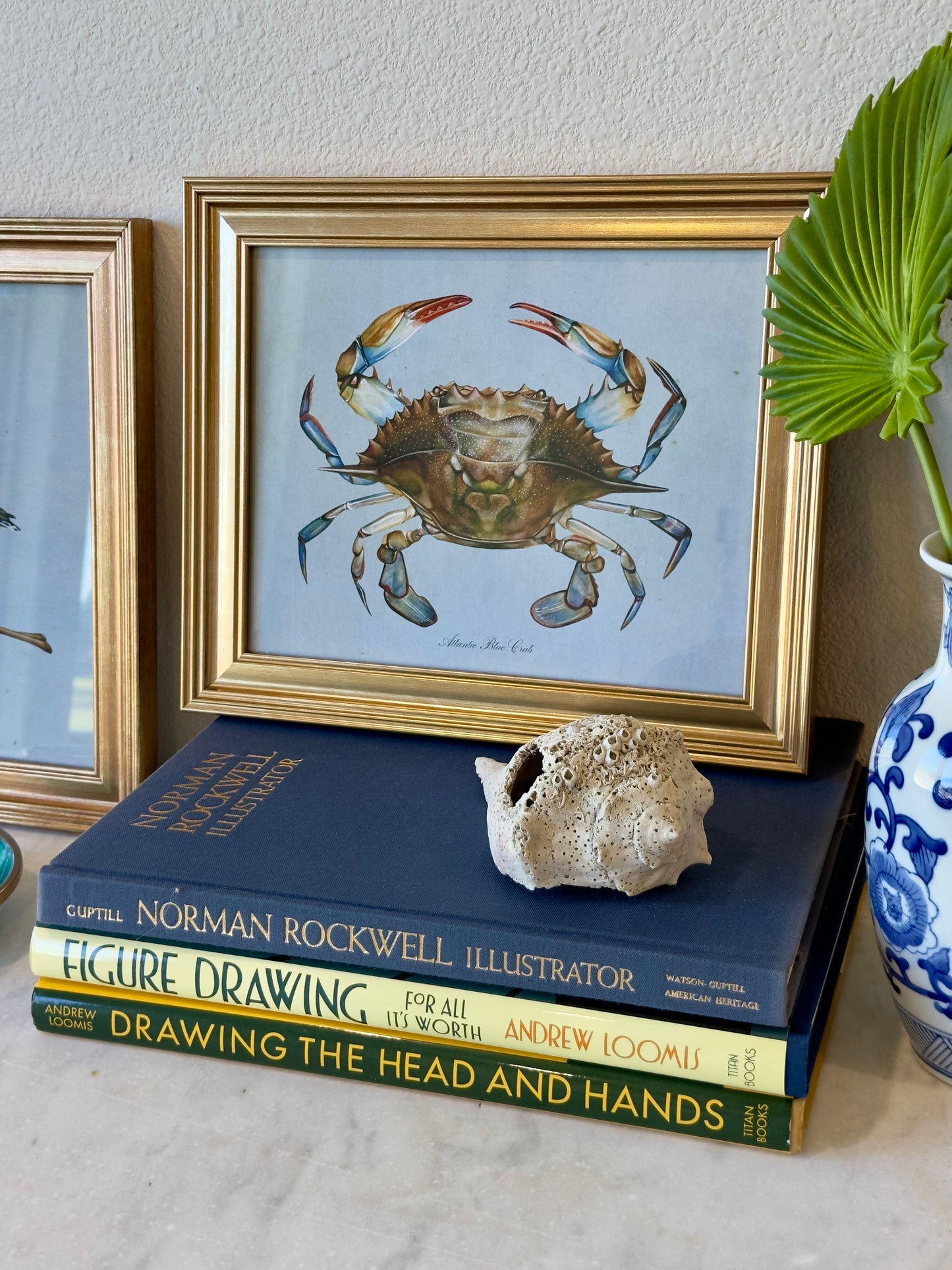 Framed Blue Crab on Blue